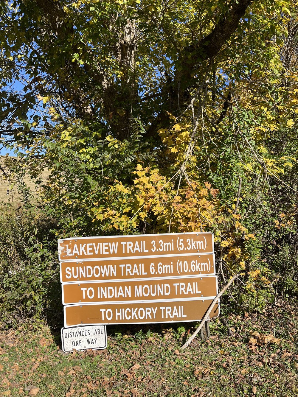 Strouds Run State Park Trailhead.jpeg