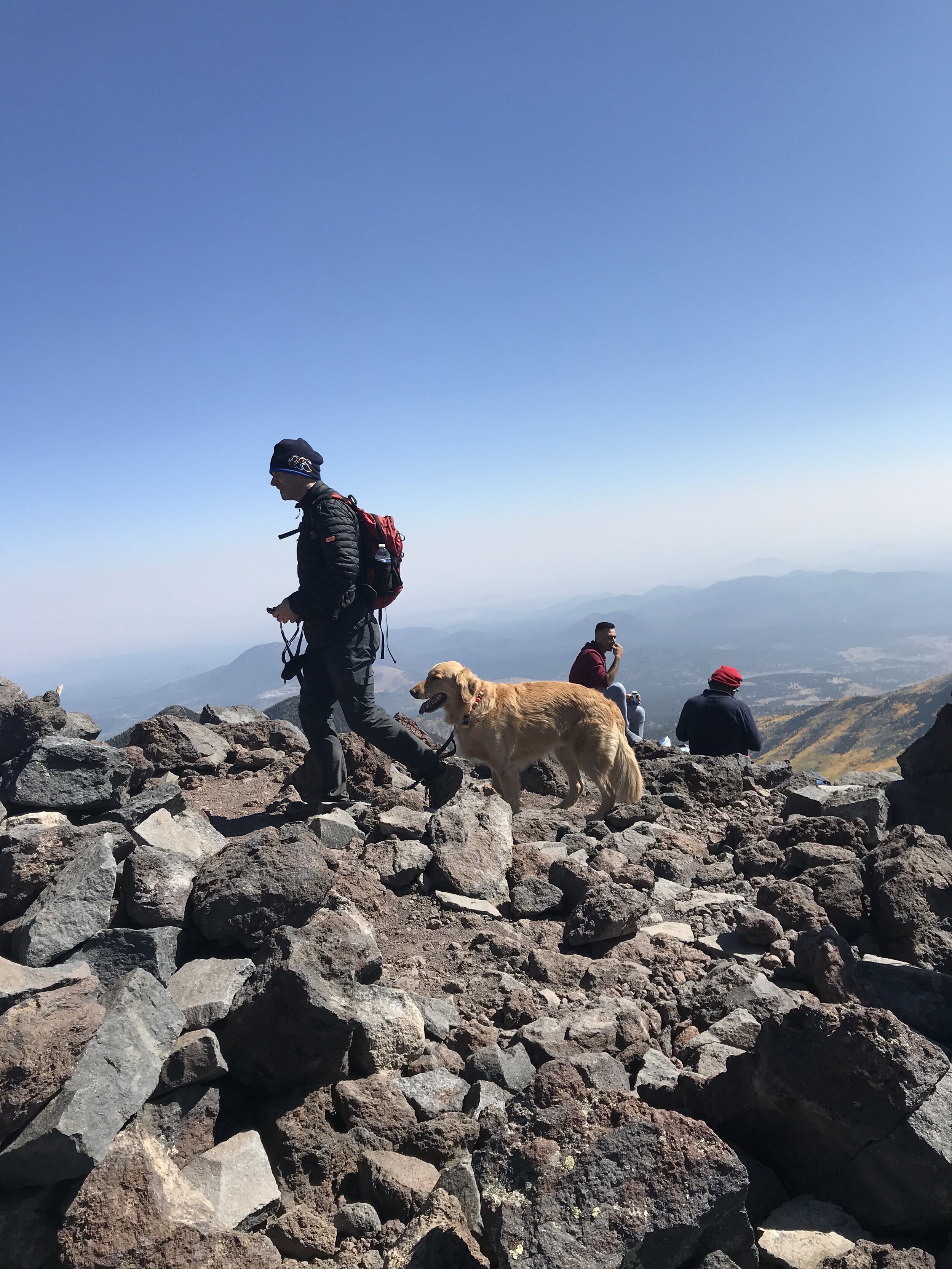 Doggo Humphreys Peak.jpeg
