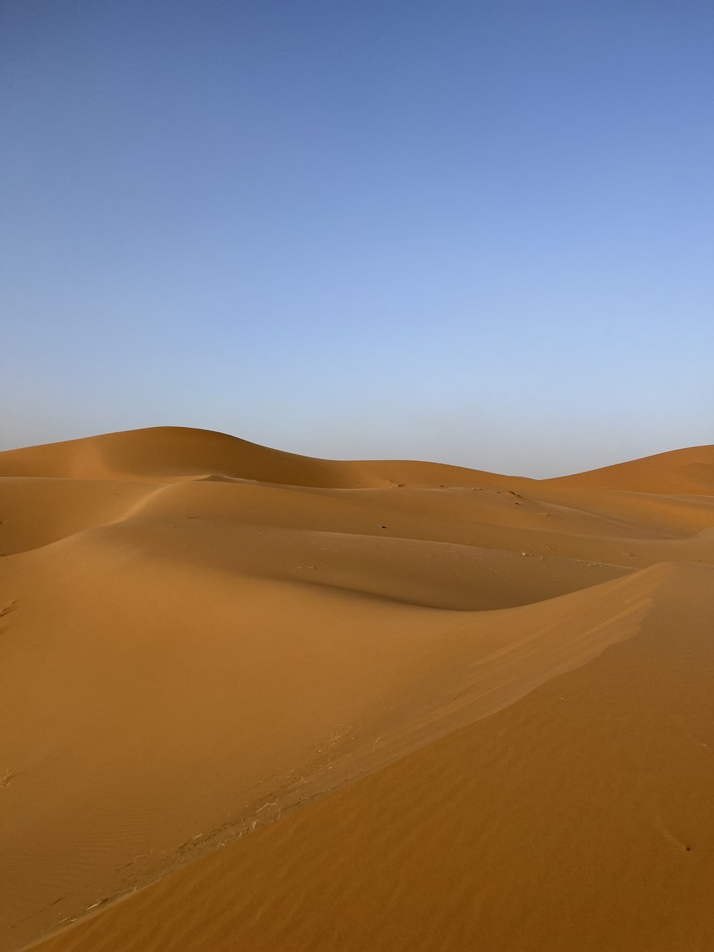 Sahara Desert 2.jpeg