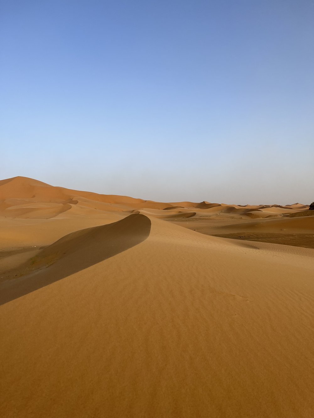 Sahara Desert 3.jpeg