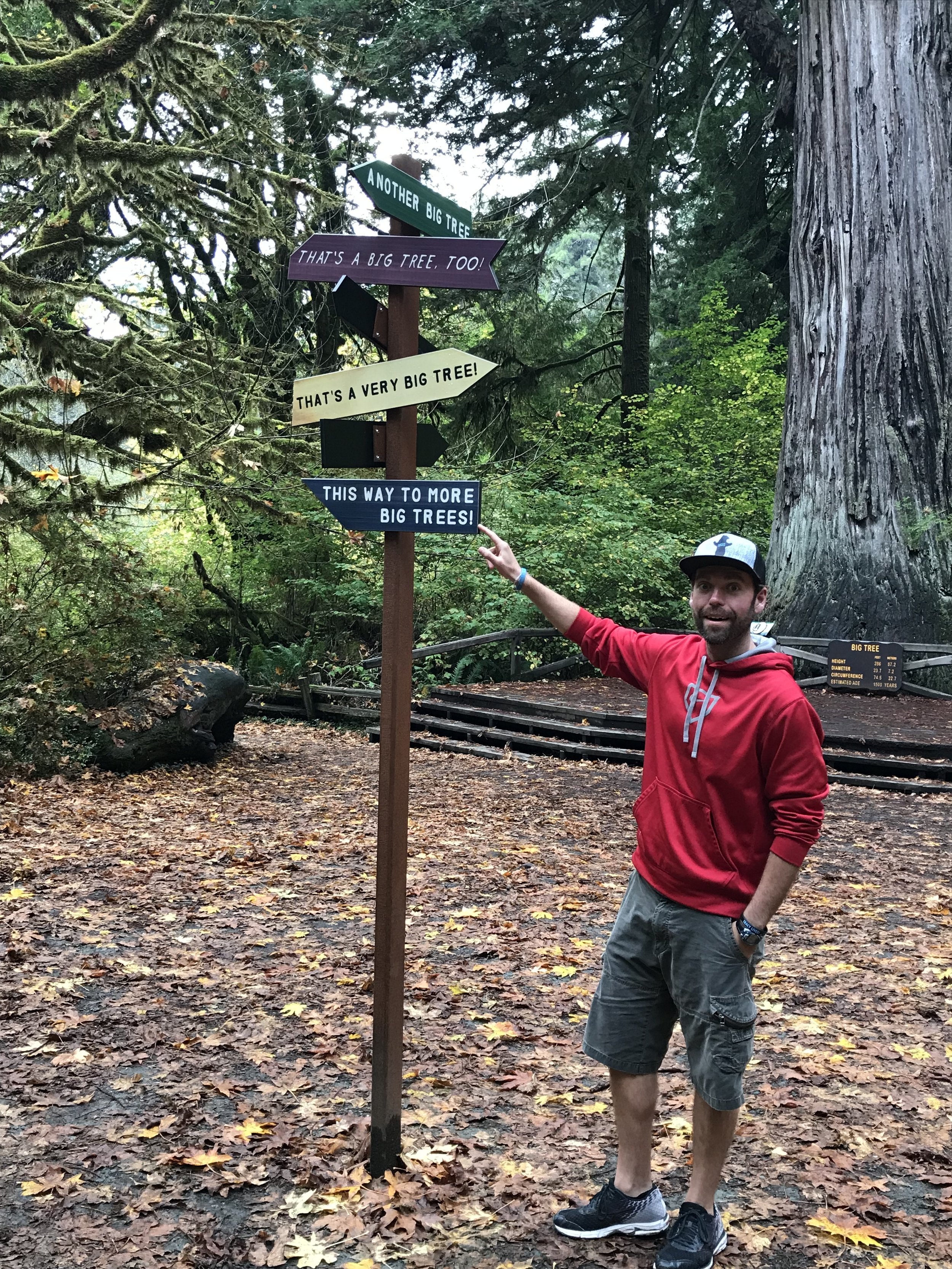 Redwood National Park Tree Sign.jpeg