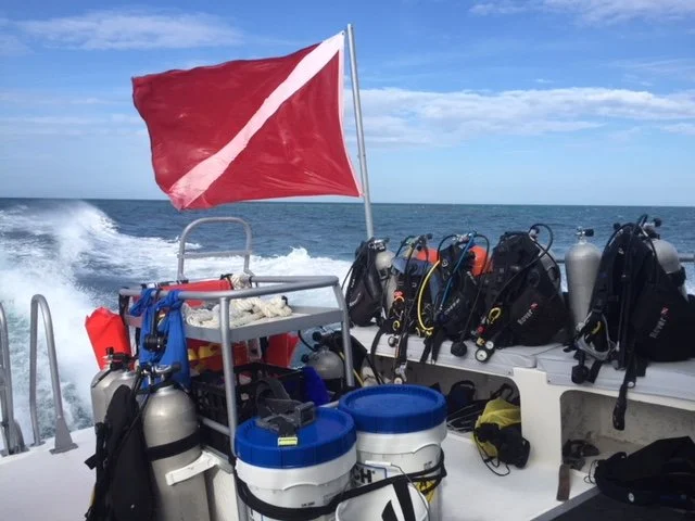 Diving in Belize.jpeg