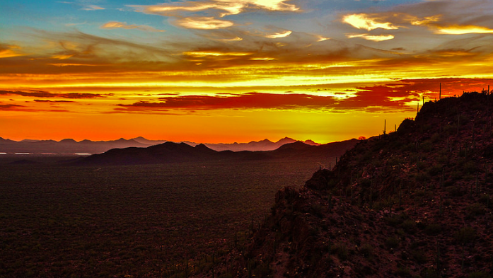 Sunset Wassen Peak Saguaro National Park.png