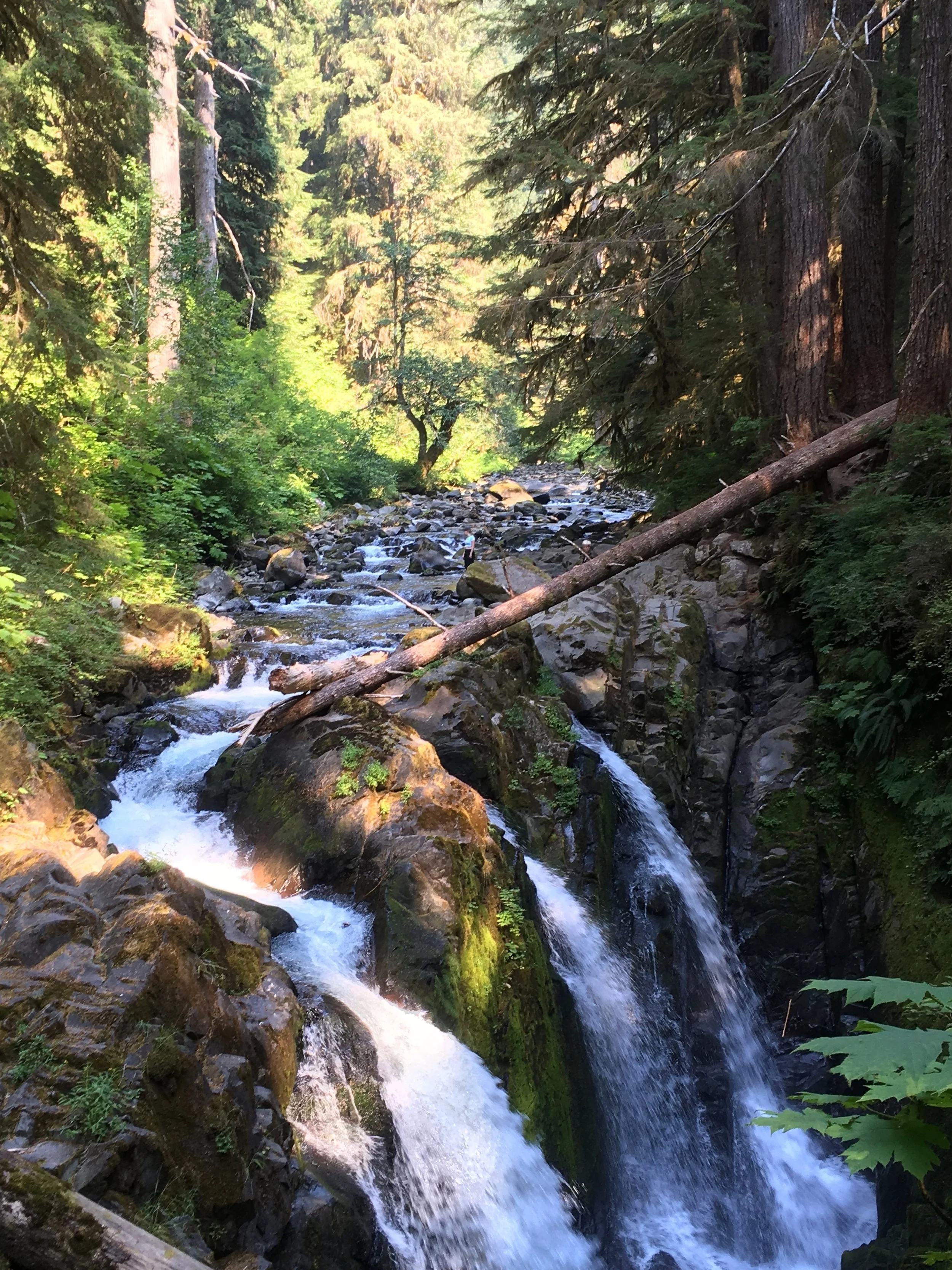 Sol Duc Falls Olympic National Park.jpeg