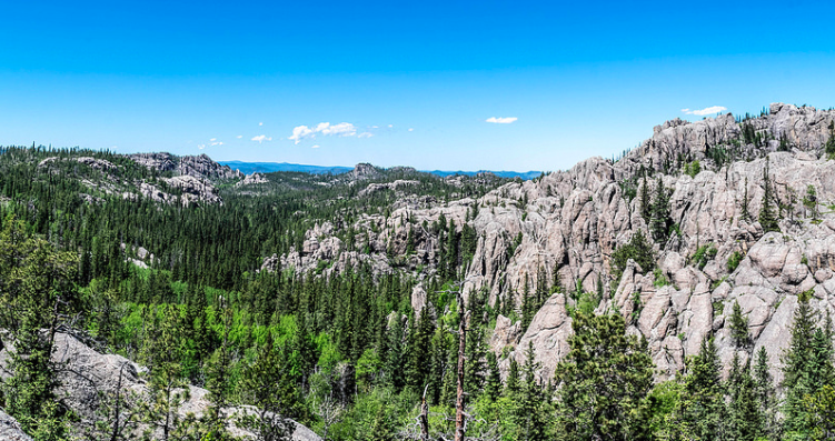 Black Hills Hiking.png