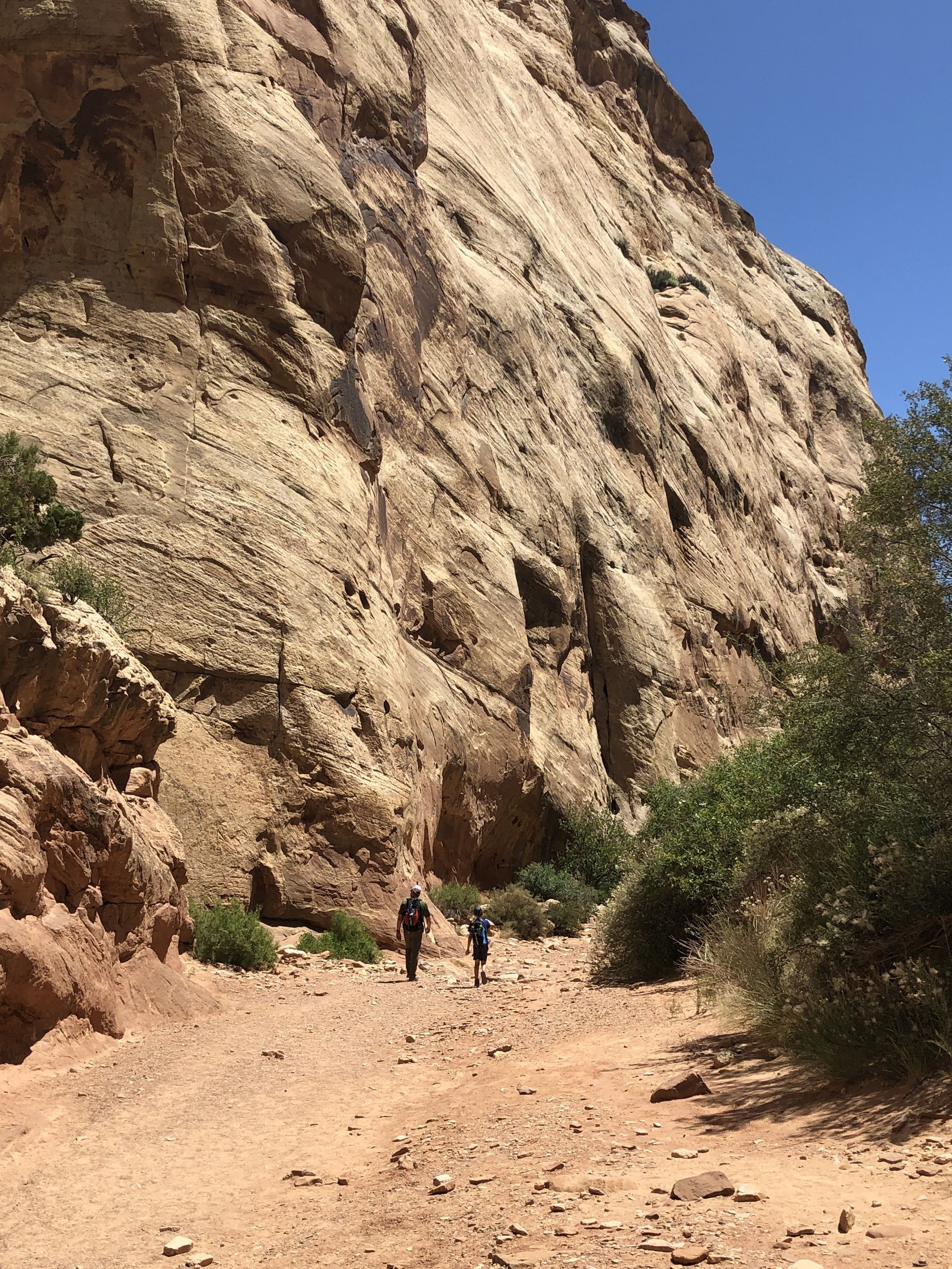 Capitol Reef Capitol Gorge Hiking on Family Road Trip.jpeg