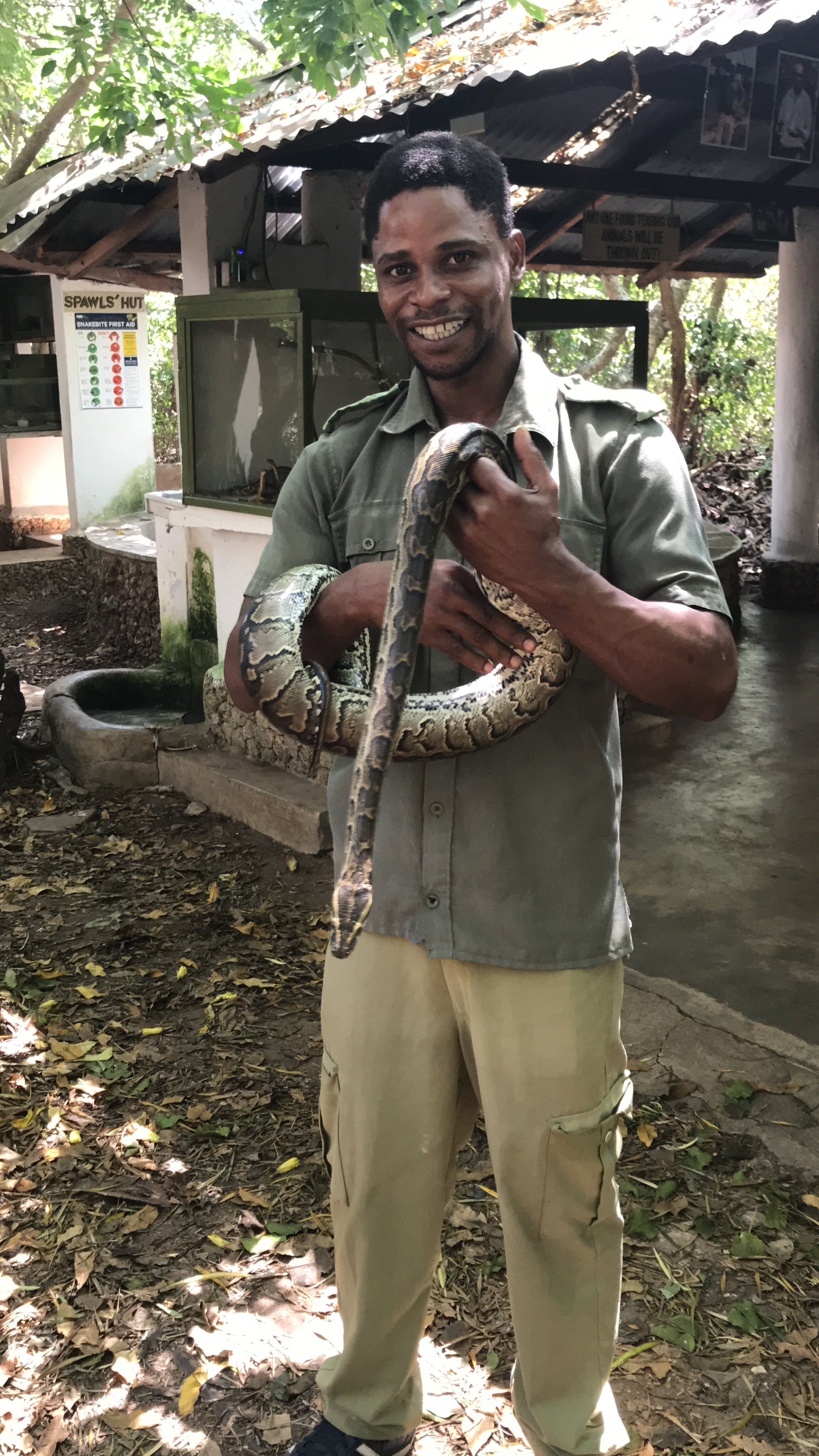 Watamu Kenya Snake.jpeg