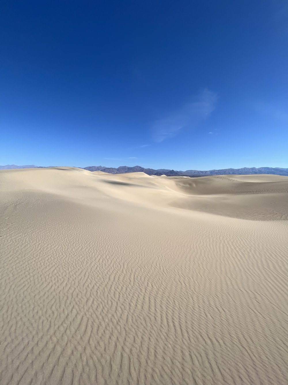 Death Valley California Mesquite Sand Dunes.jpg