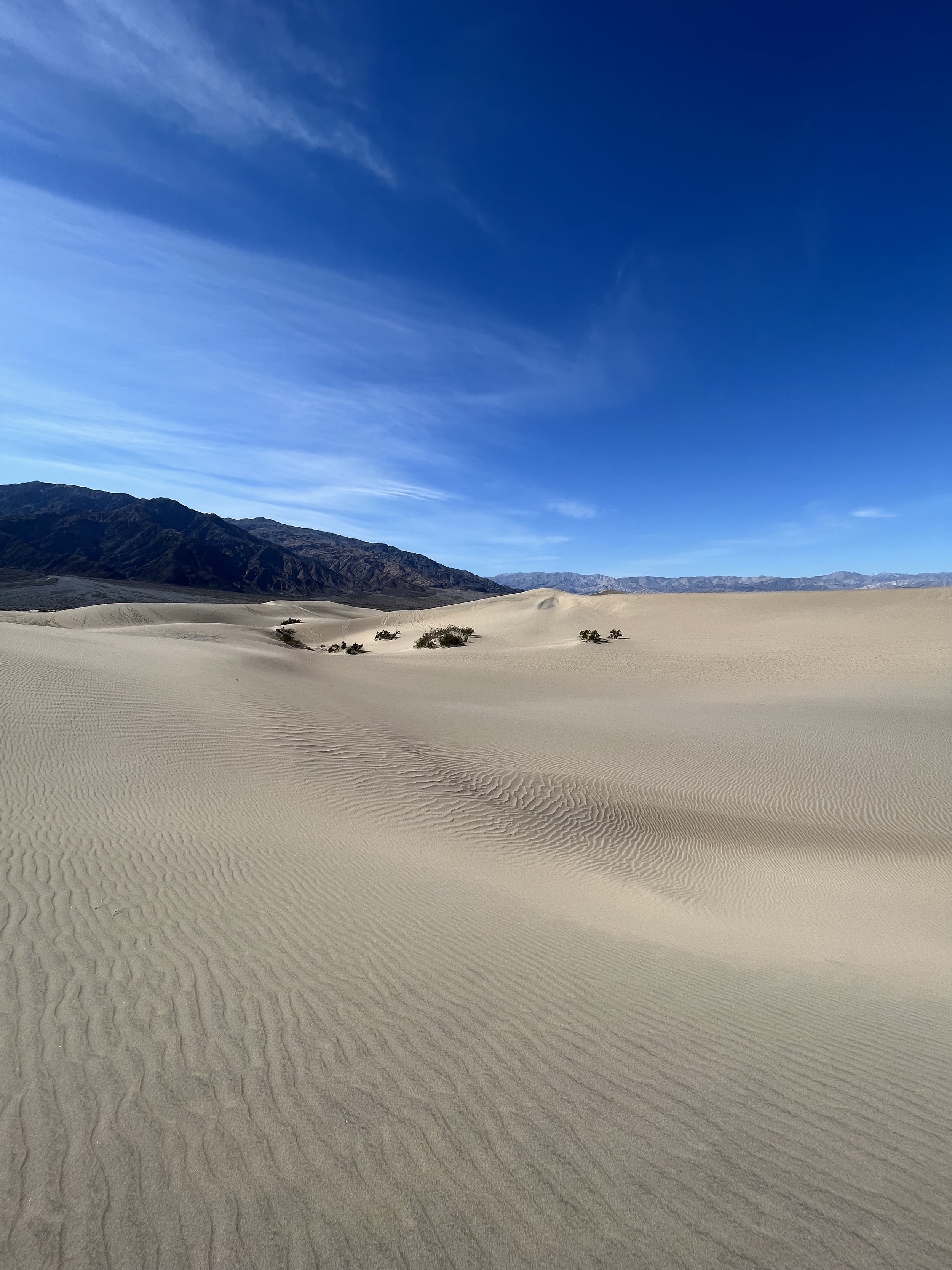 Death Valley California Mesquite Sand Dunes 2.jpg