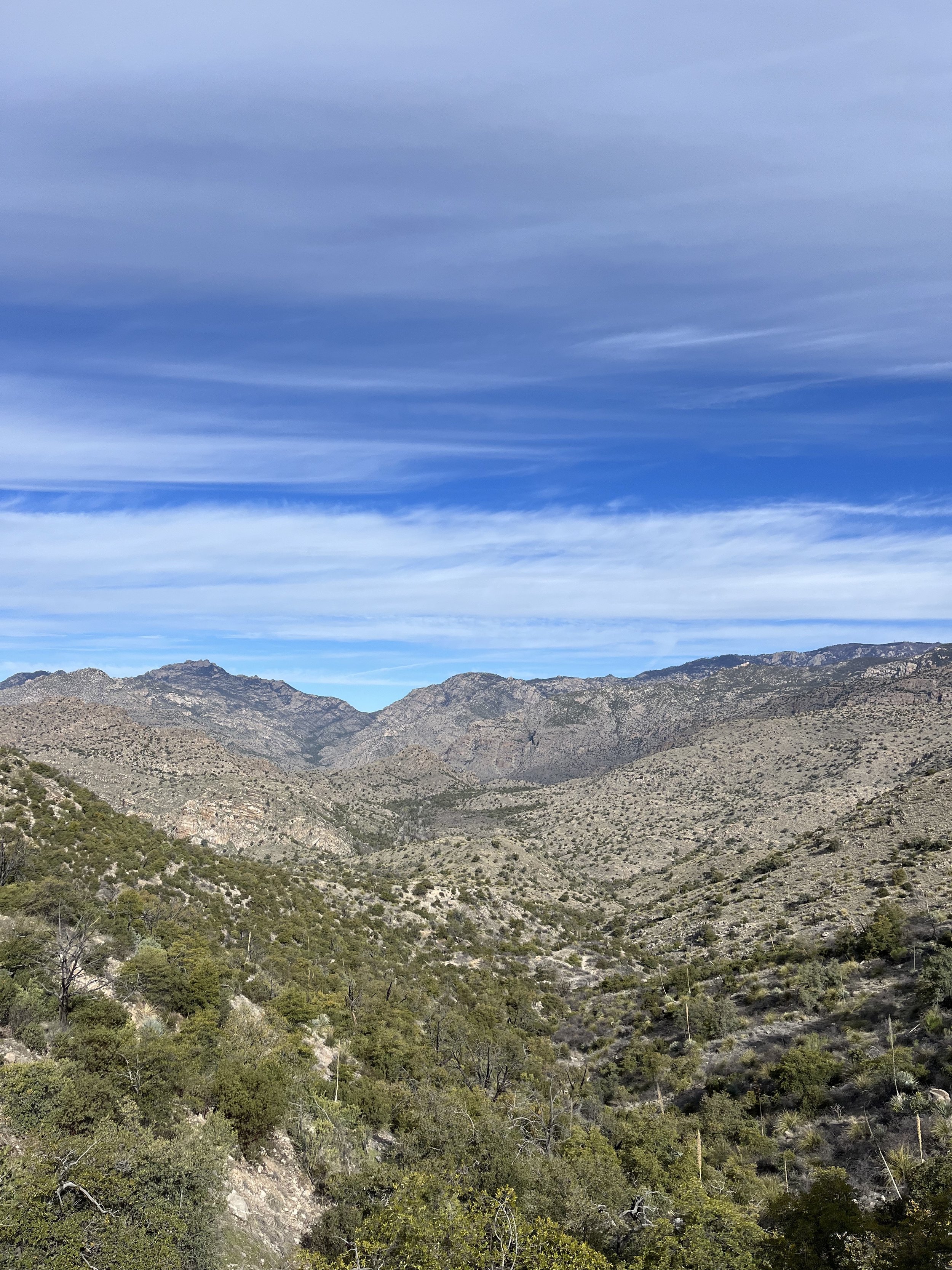 Arizona Trail Section Hike Santa Catalina Mountains.jpg