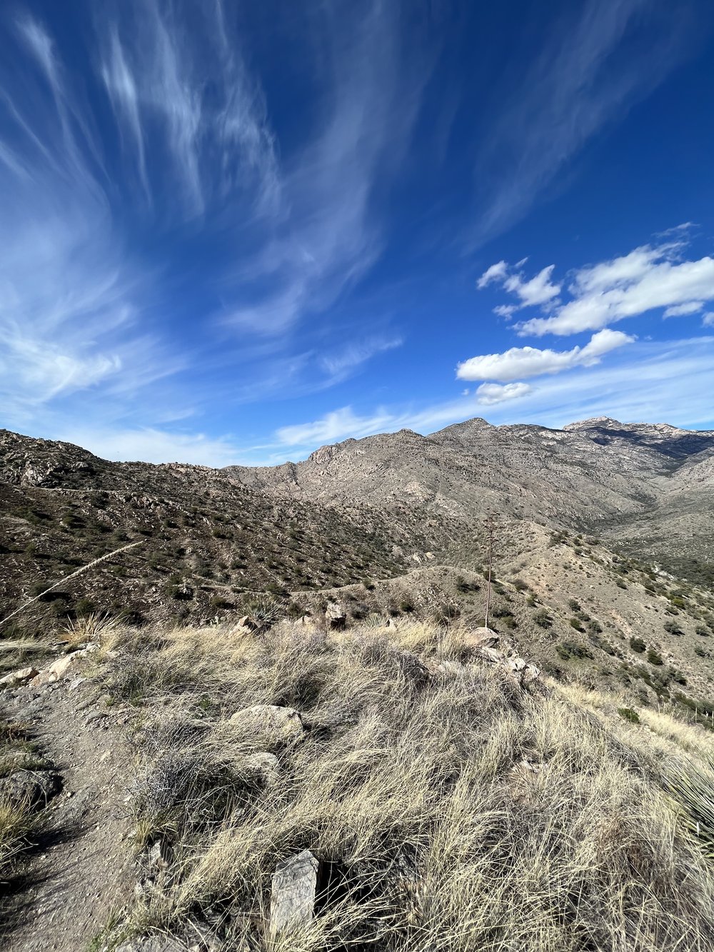 Arizona Trail Santa Catalina Mountains View.jpg