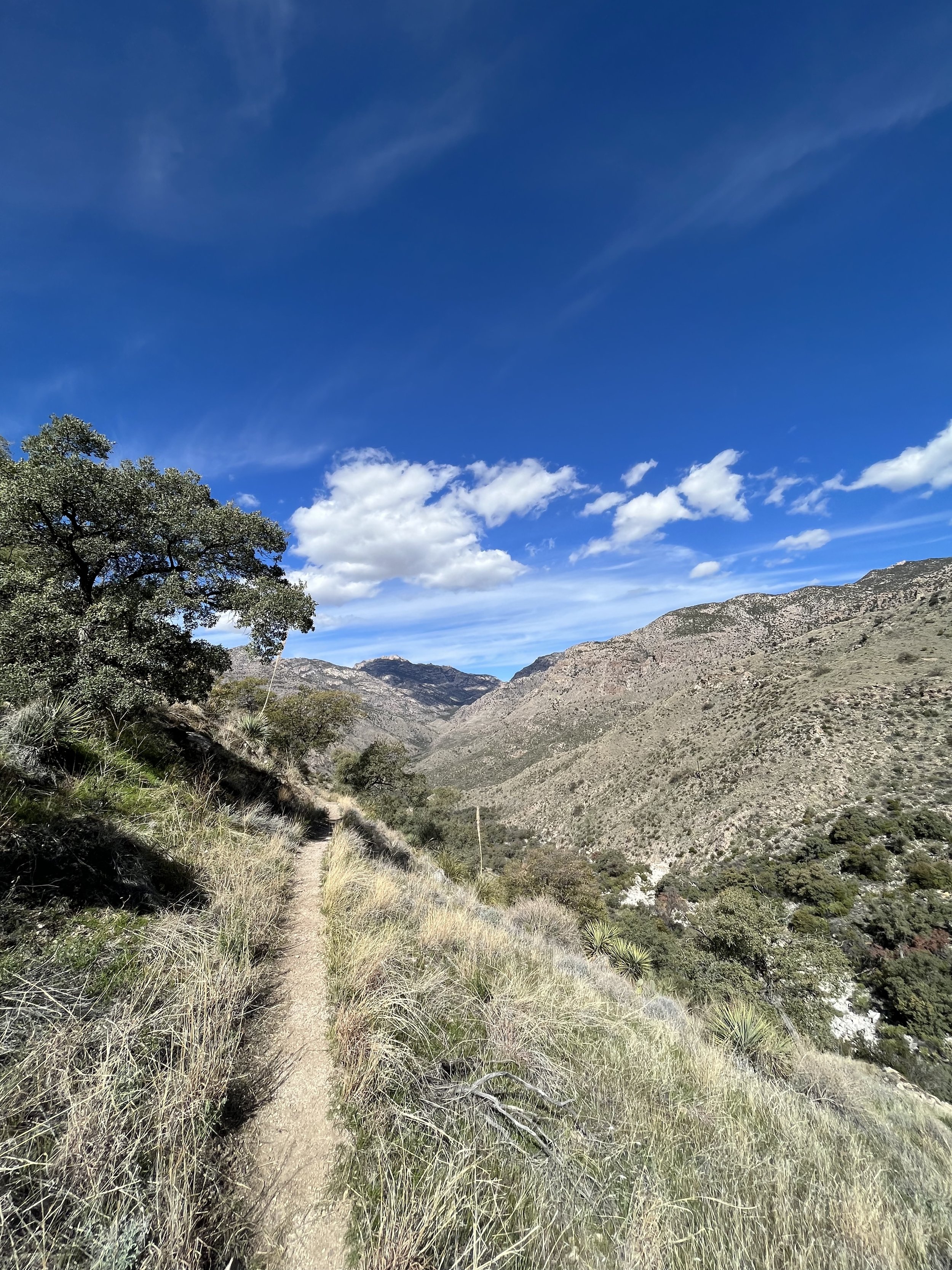 Arizona Trail Entering Sabino Canyon.jpg