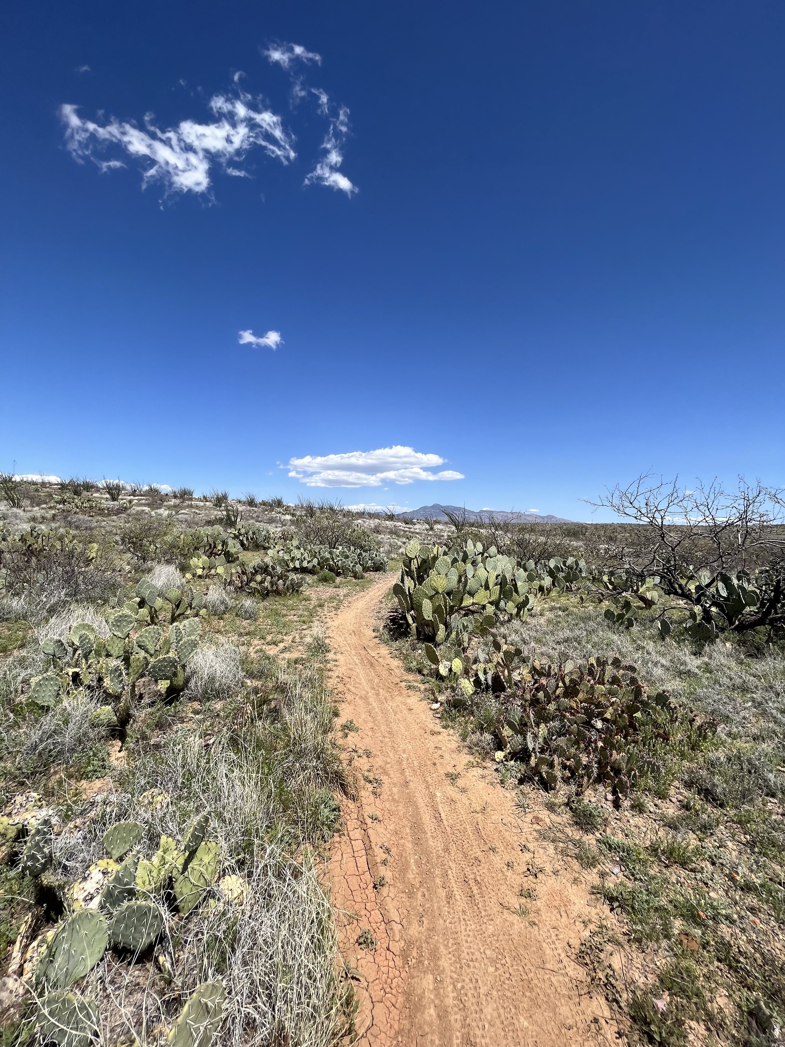 Arizona Trail Passage 7.jpg