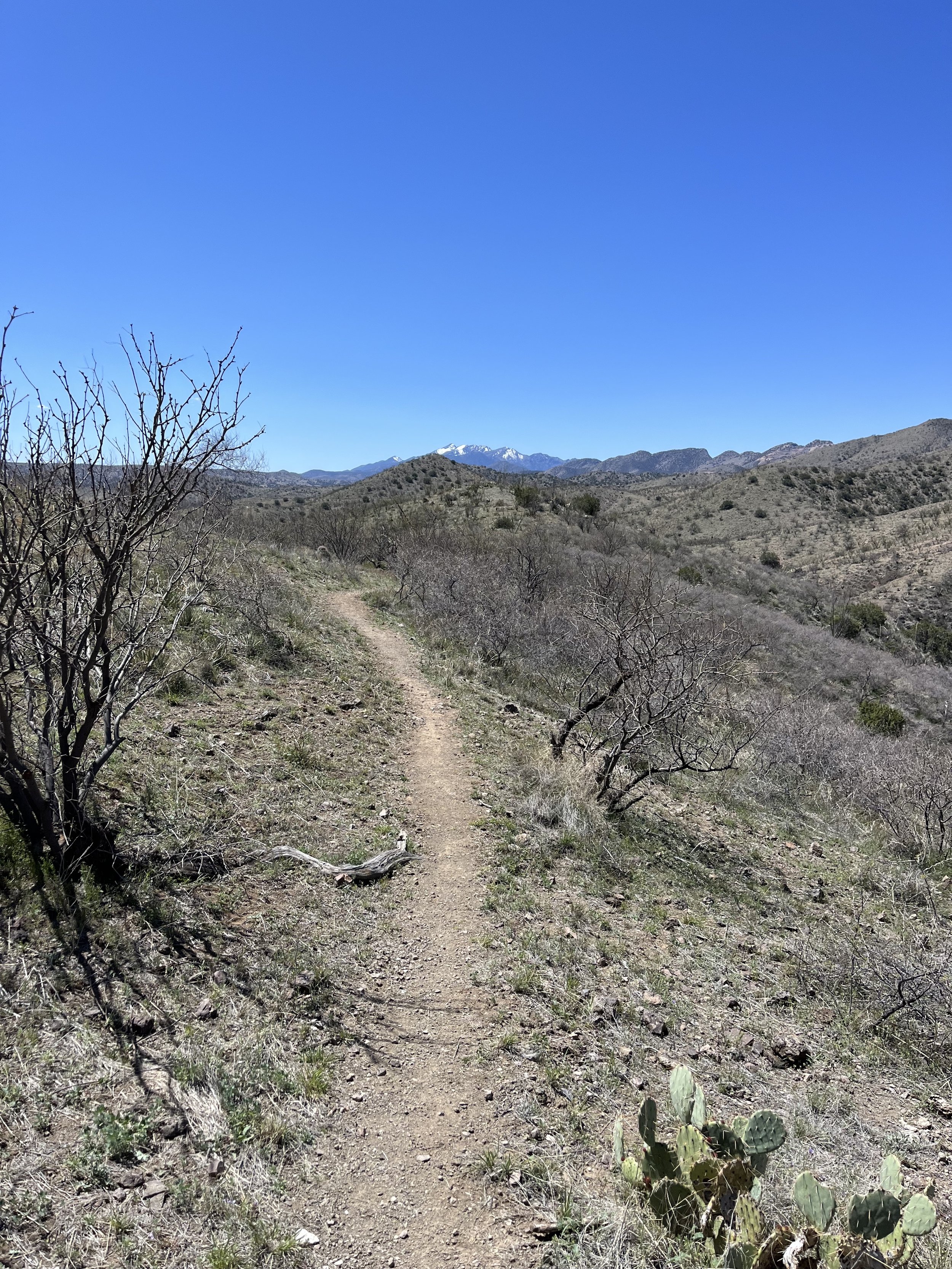 AZT Passage 6 Santa Rita Mountains.jpg