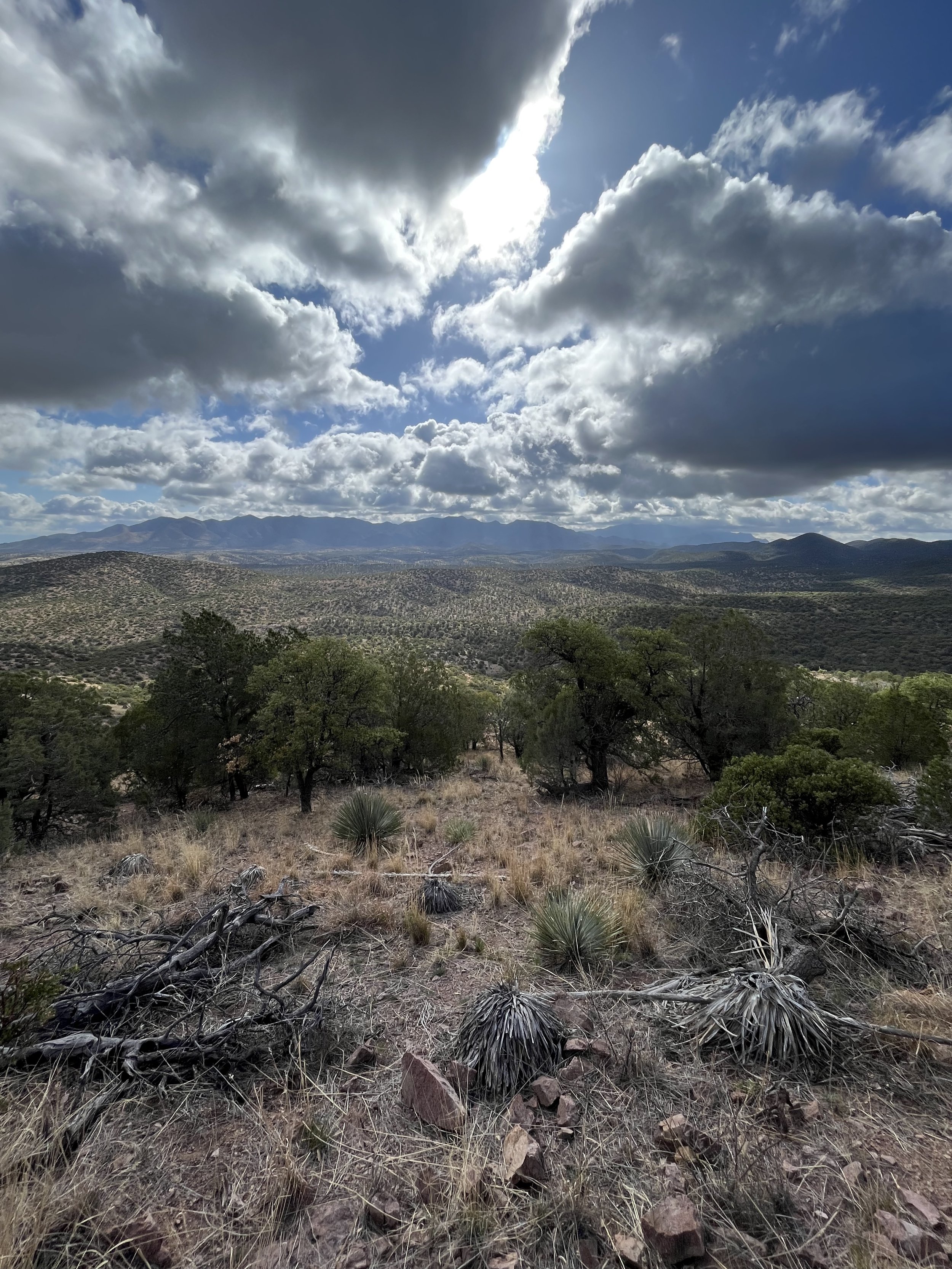 Arizona Trail Passage 2.jpg