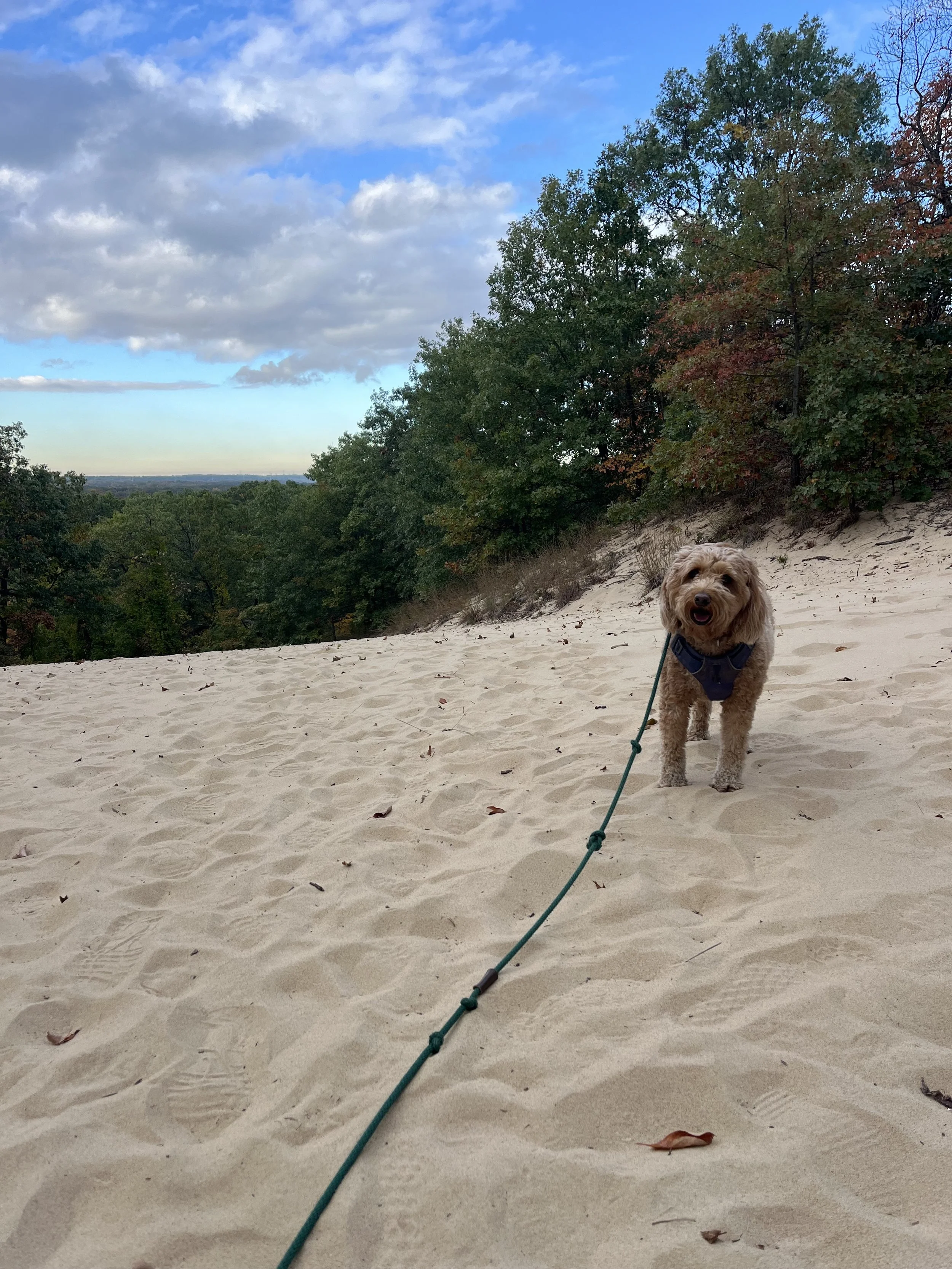 3 Dune Challenge Indiana Dunes State Park.jpg