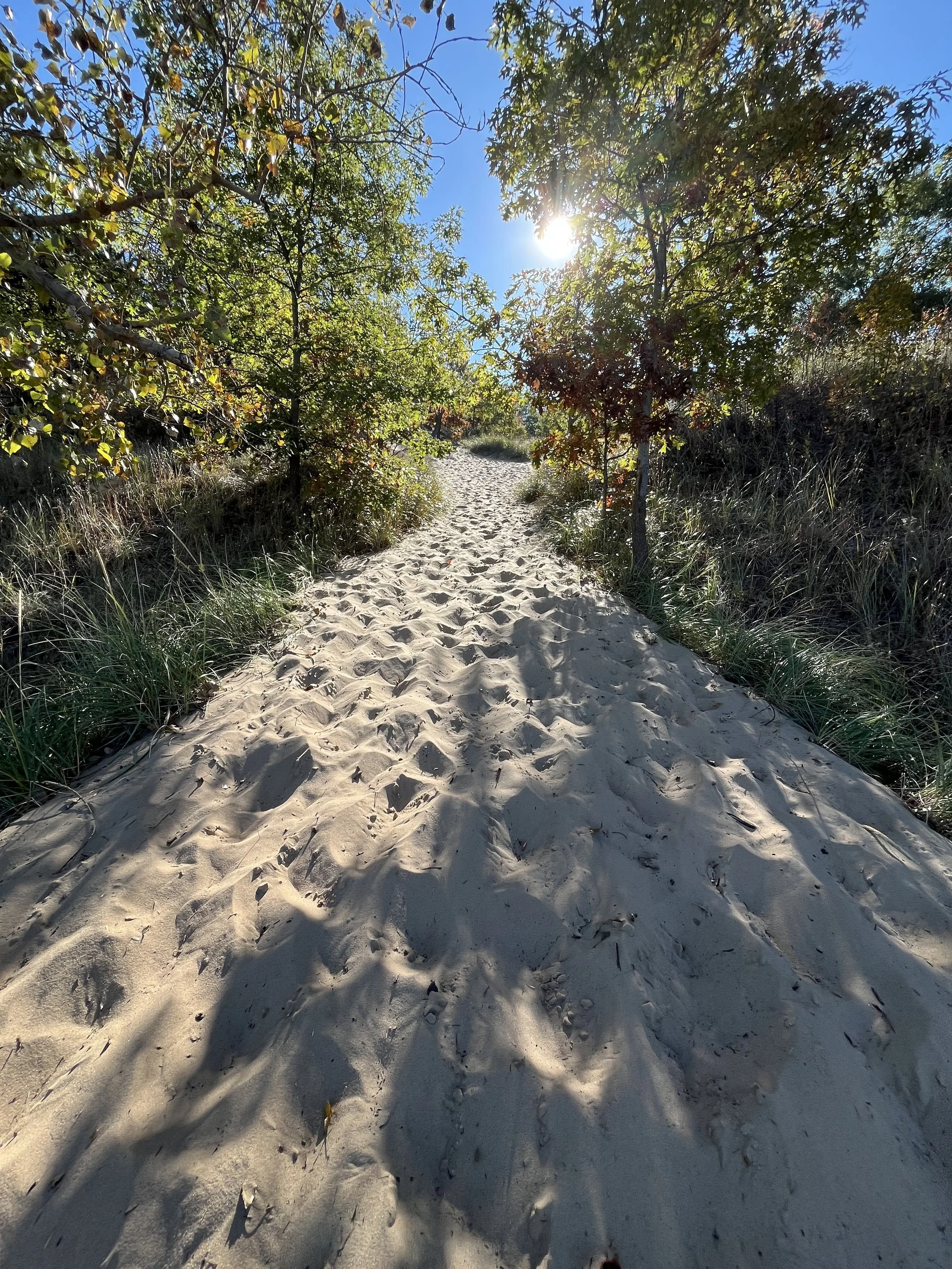 Cowles Bog Trail Indiana Dunes National Park.jpg
