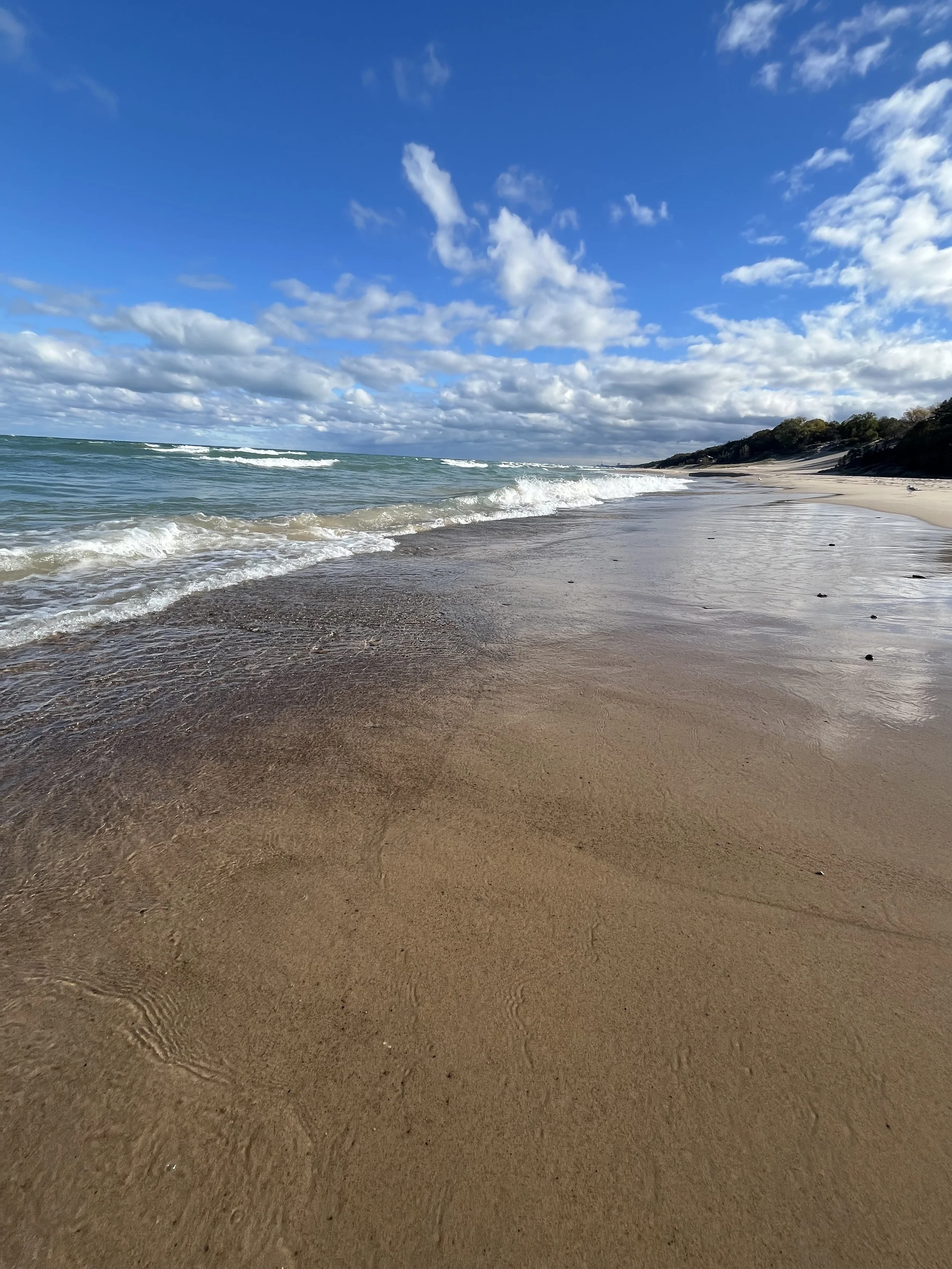 Lake Michigan Beach Walk Indiana Dunes State Park.jpg
