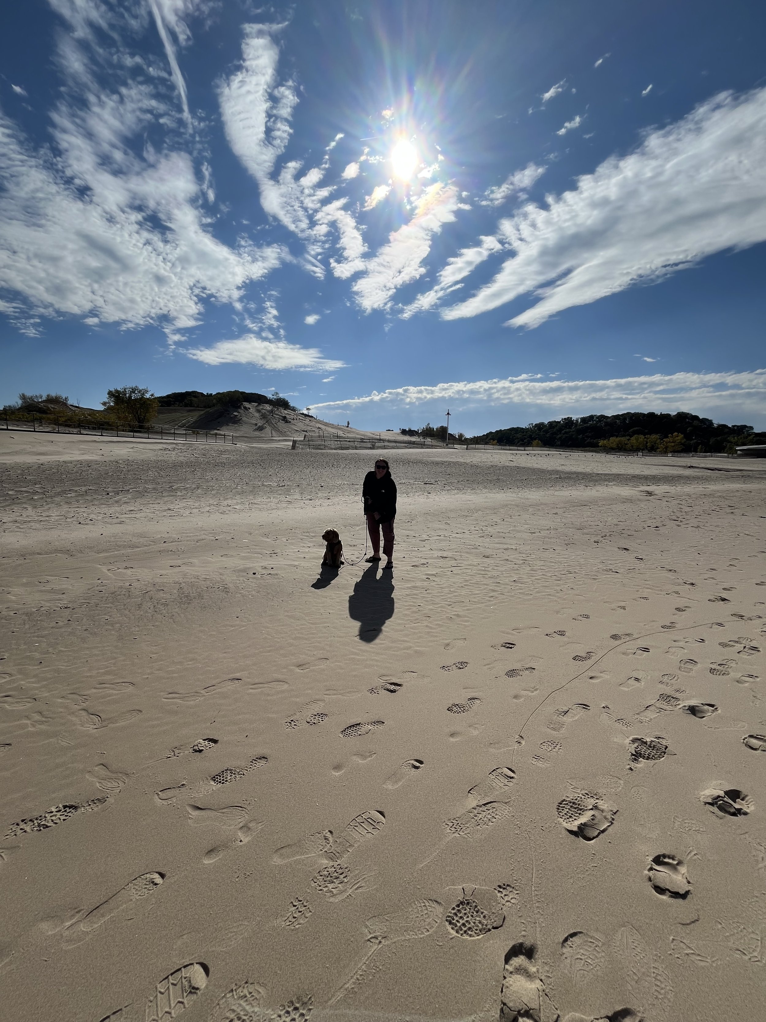 Warren Dunes State Park Dog Walk.jpg