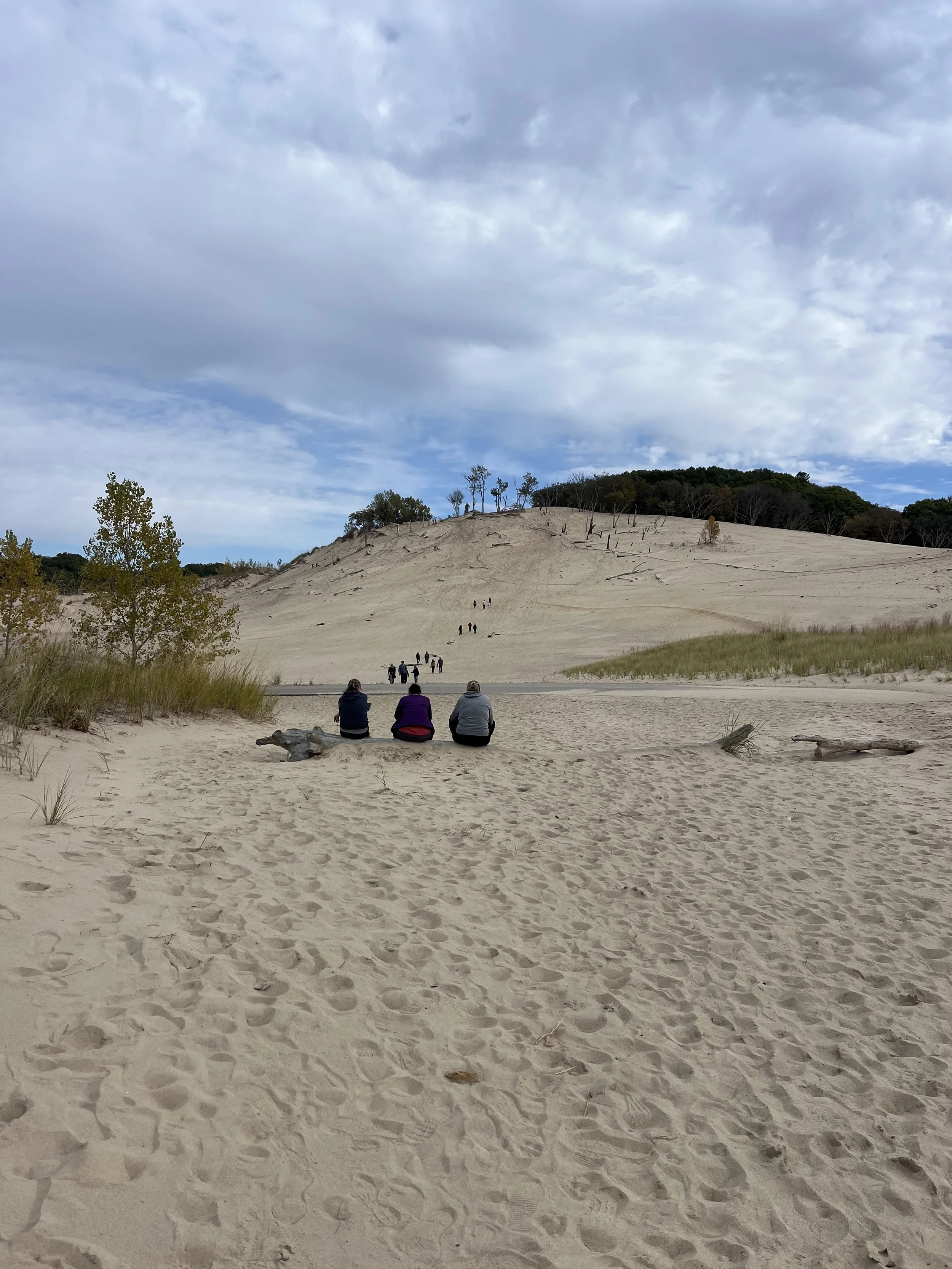 Warren Dunes State Park Michigan.jpg