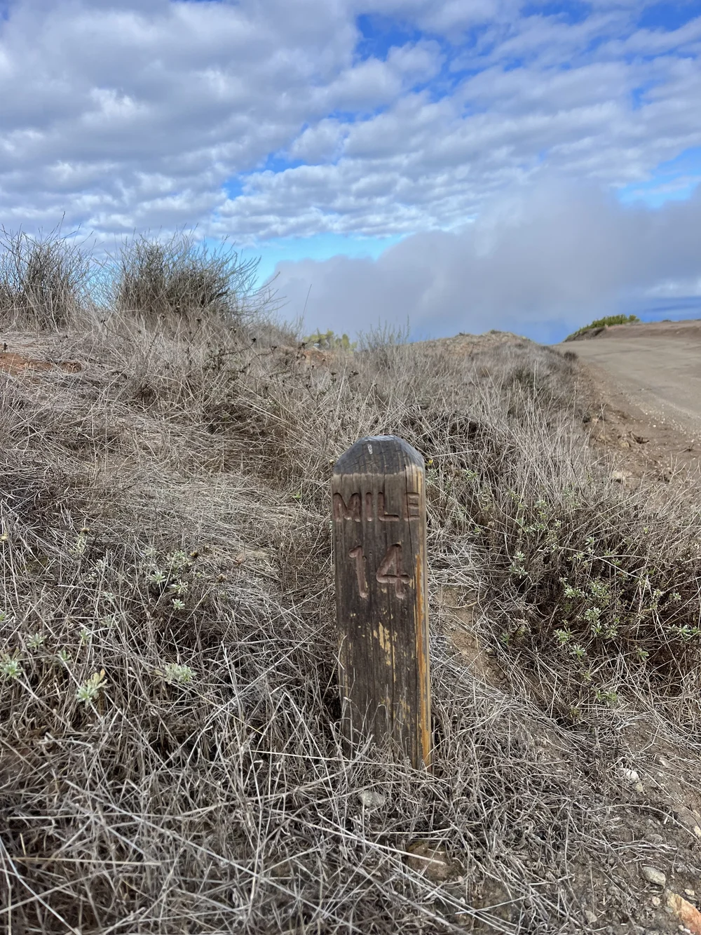Mile 14 Trans Catalina Trail.jpg
