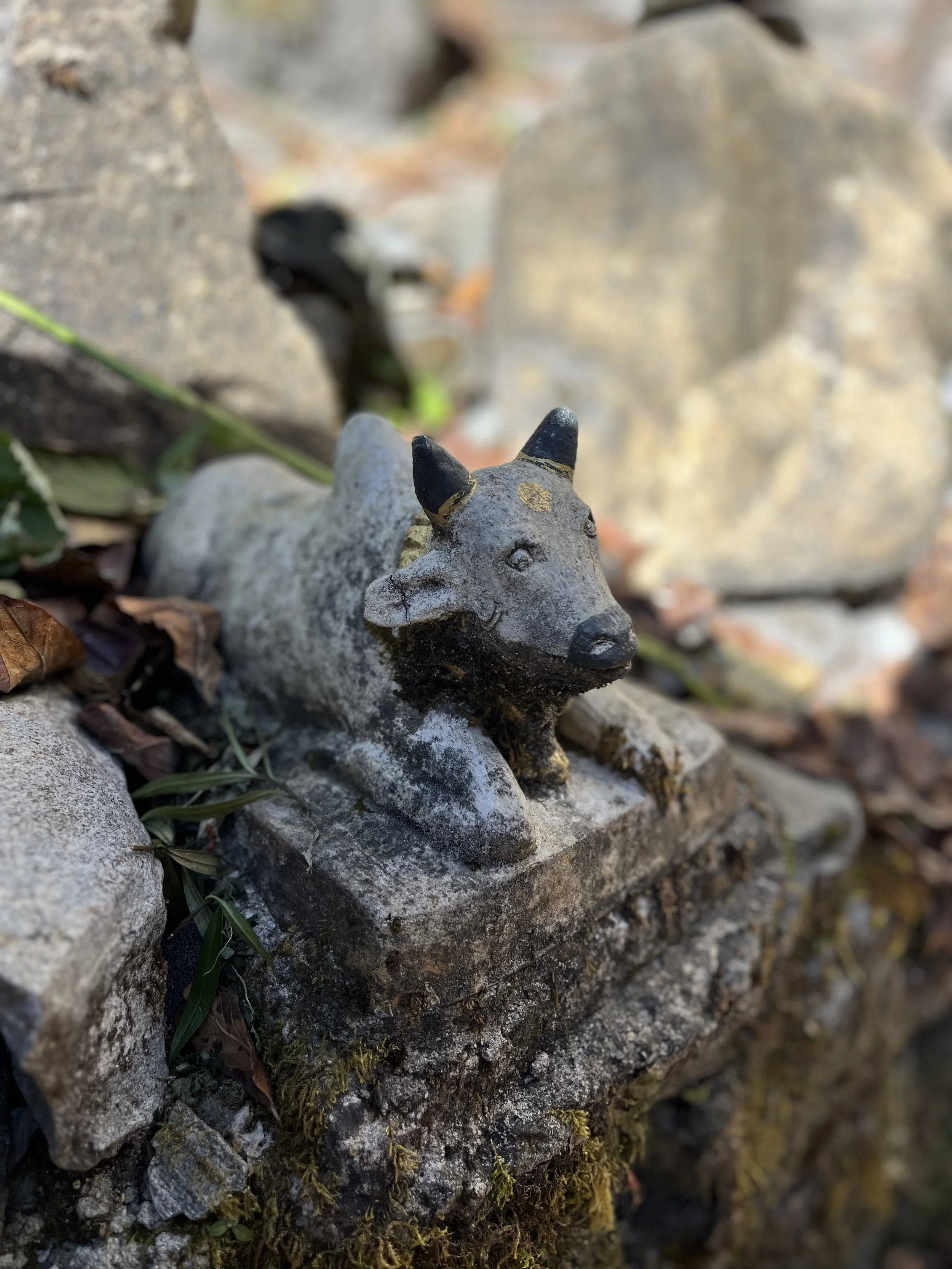 Animal Statue.jpg