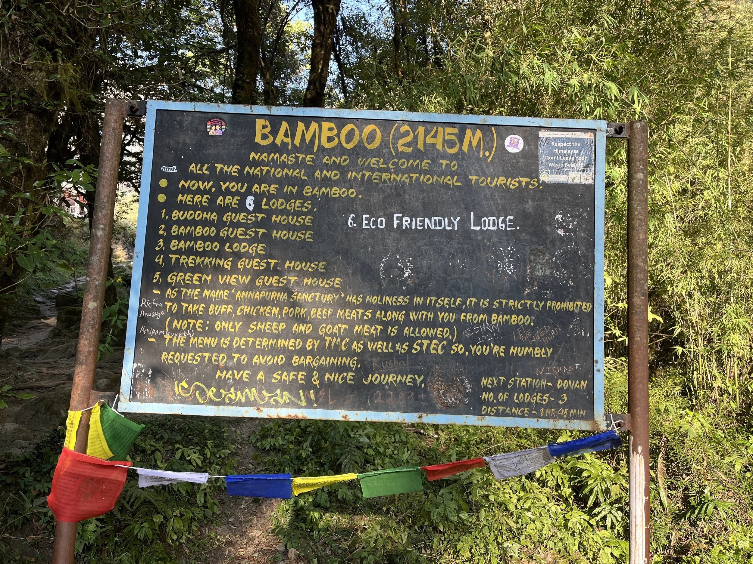 bamboo annapurna base camp.jpg