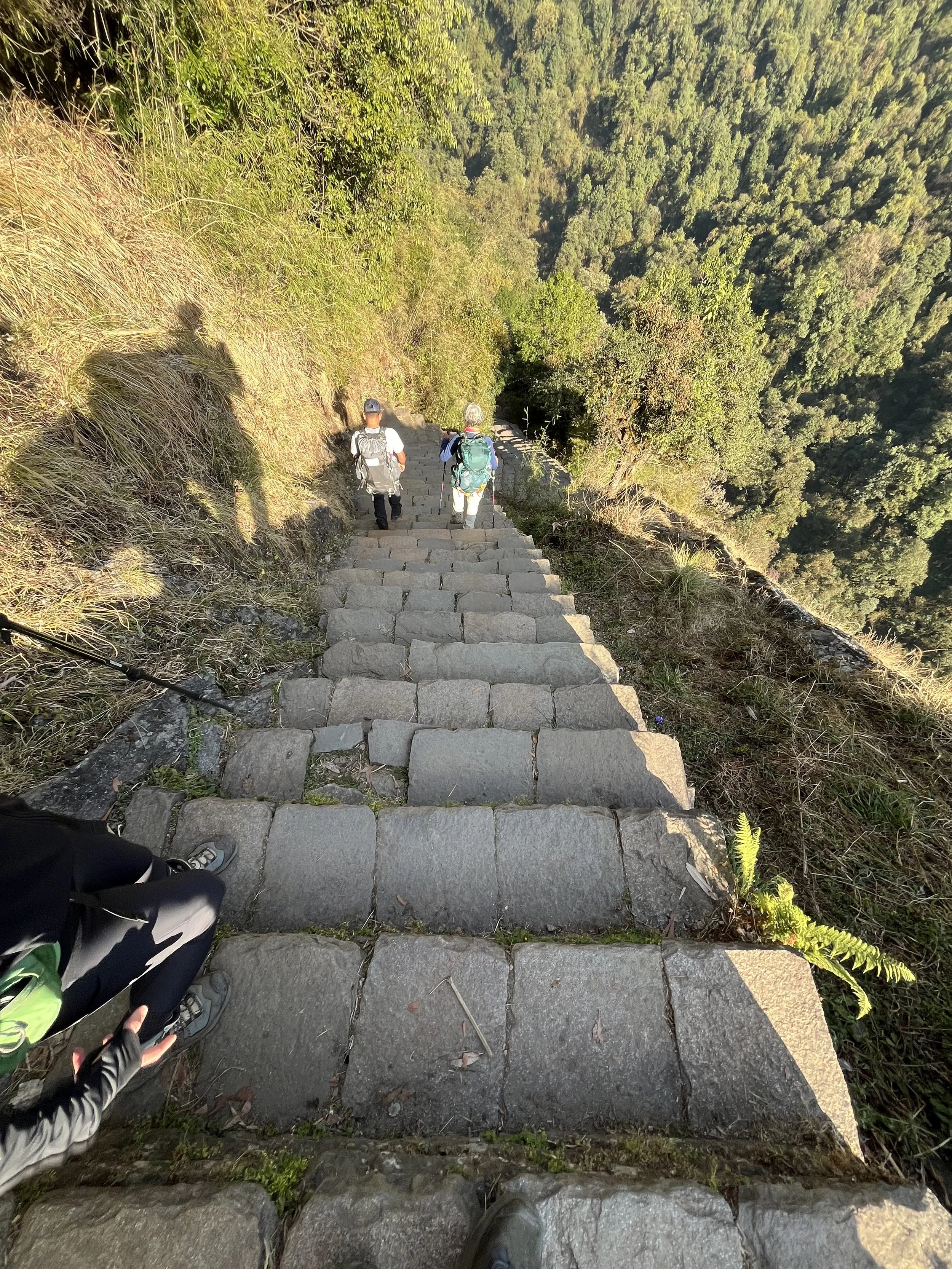 steep descent annapurna base camp.jpg