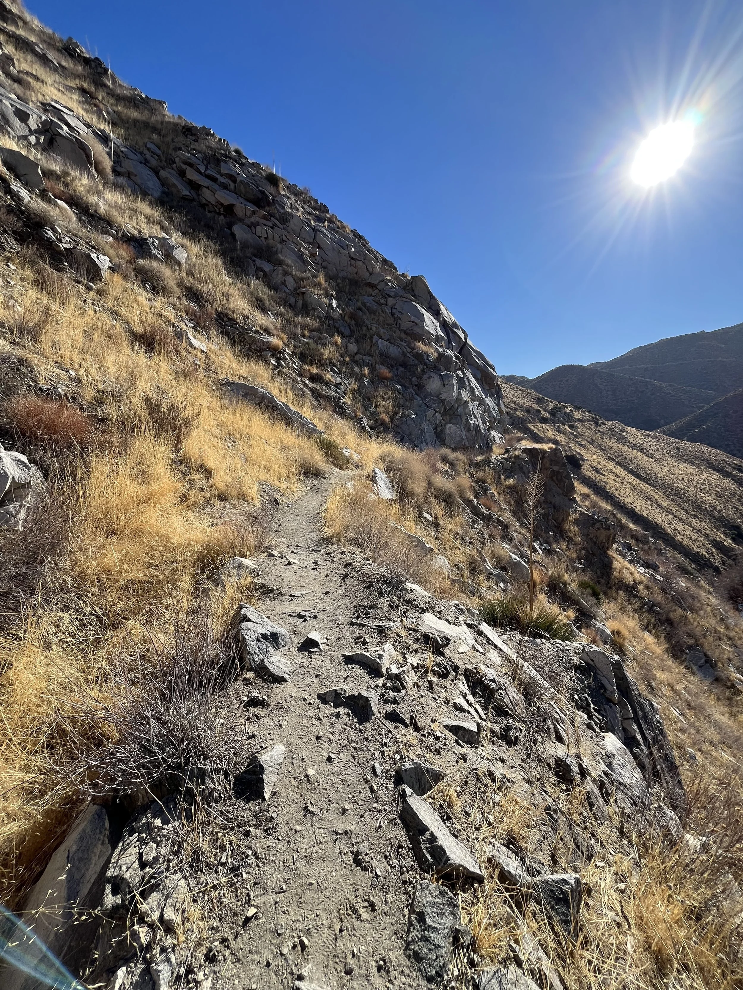 PCT Trail.jpg