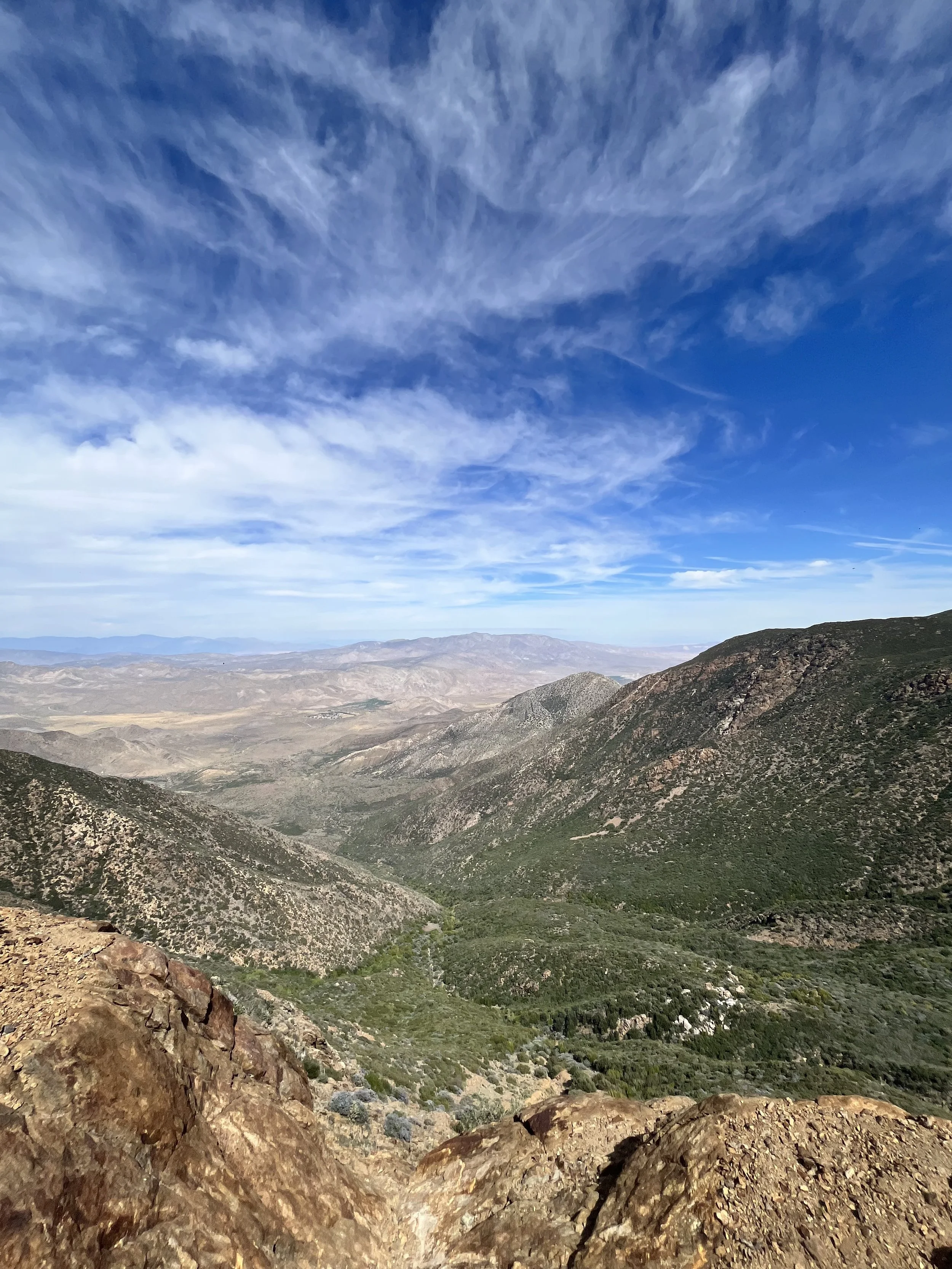Anza Borrego.jpg