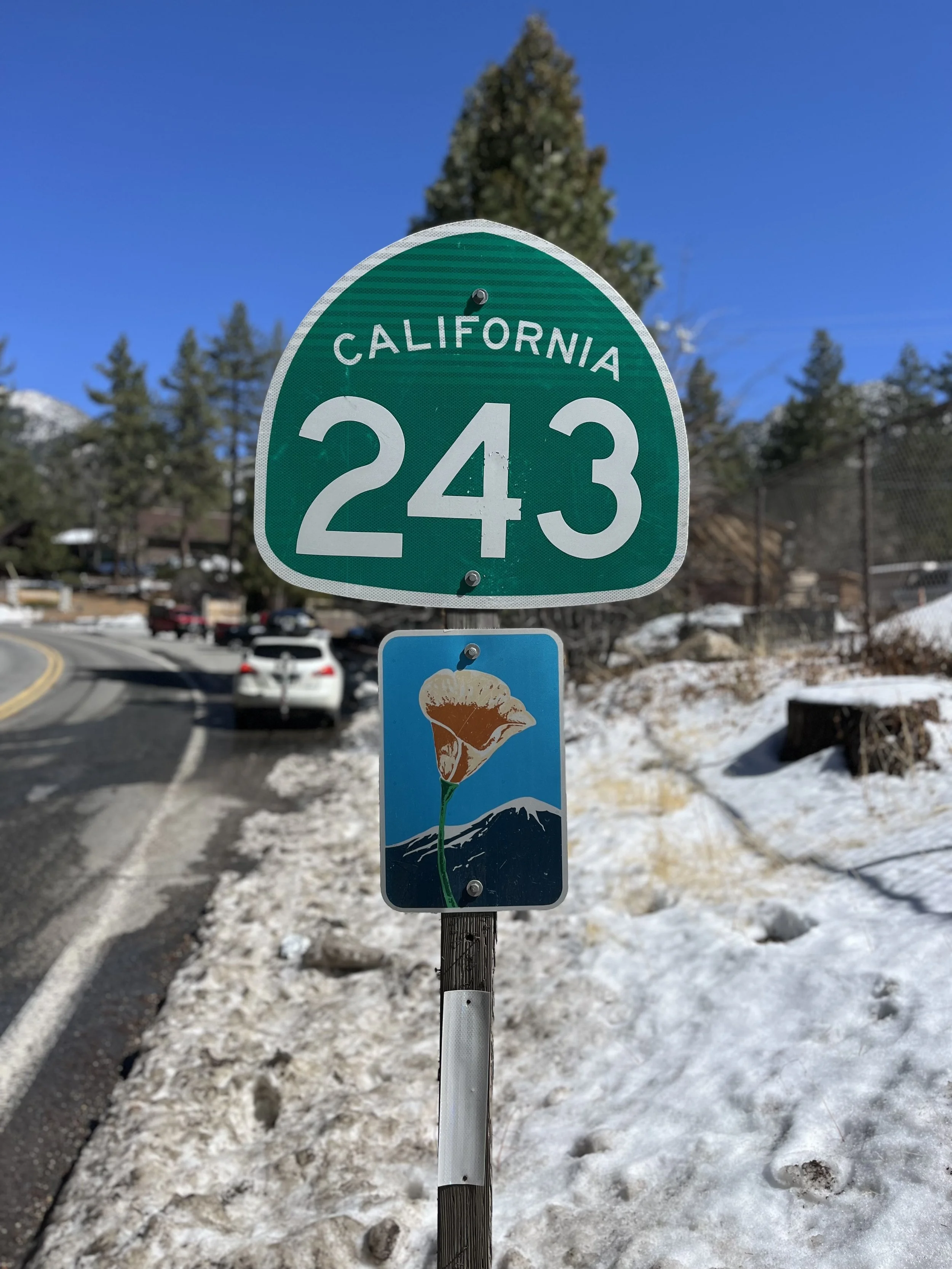Idyllwild 243.jpg