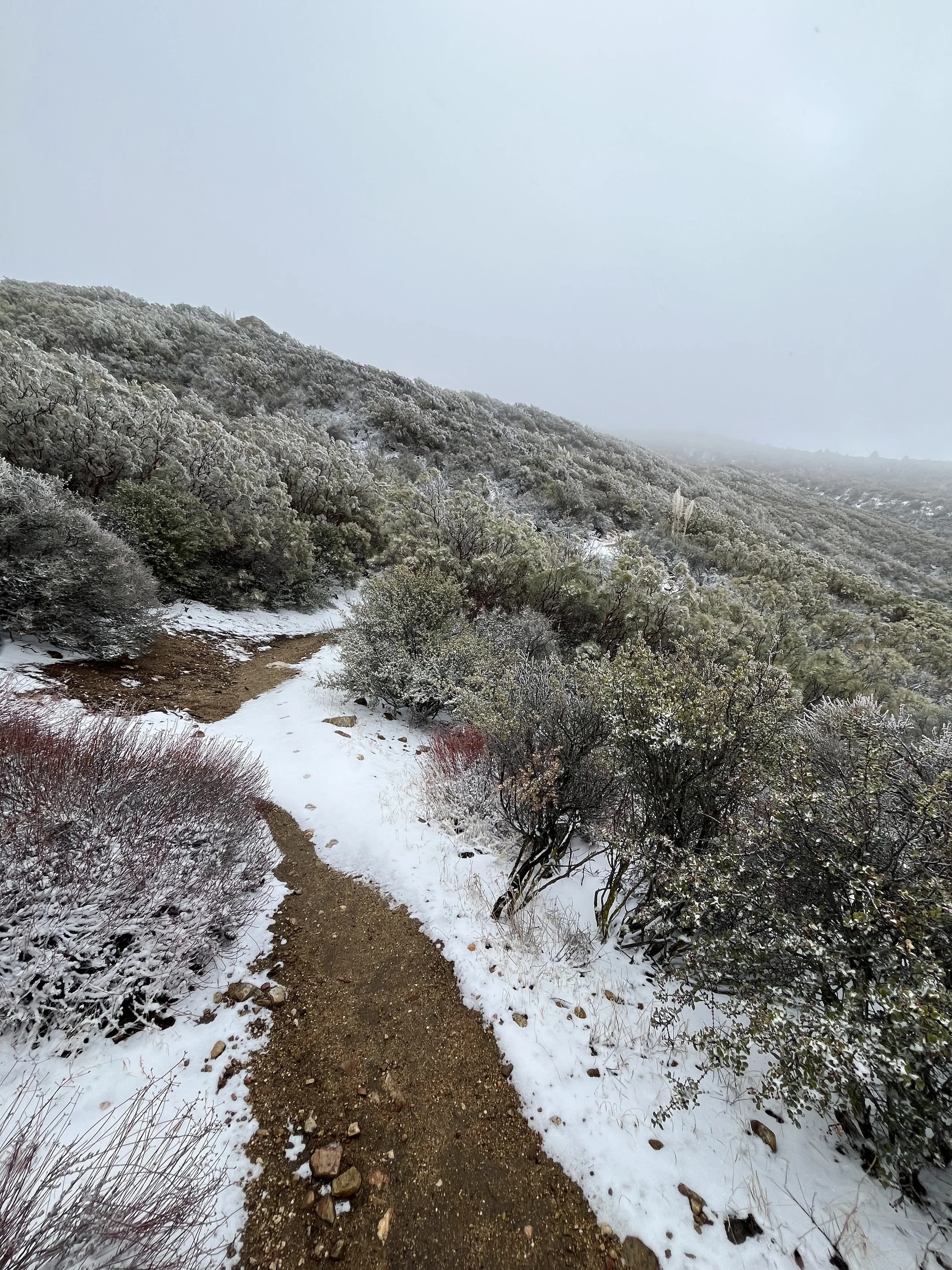 Mountain Center PCT Trail.jpg
