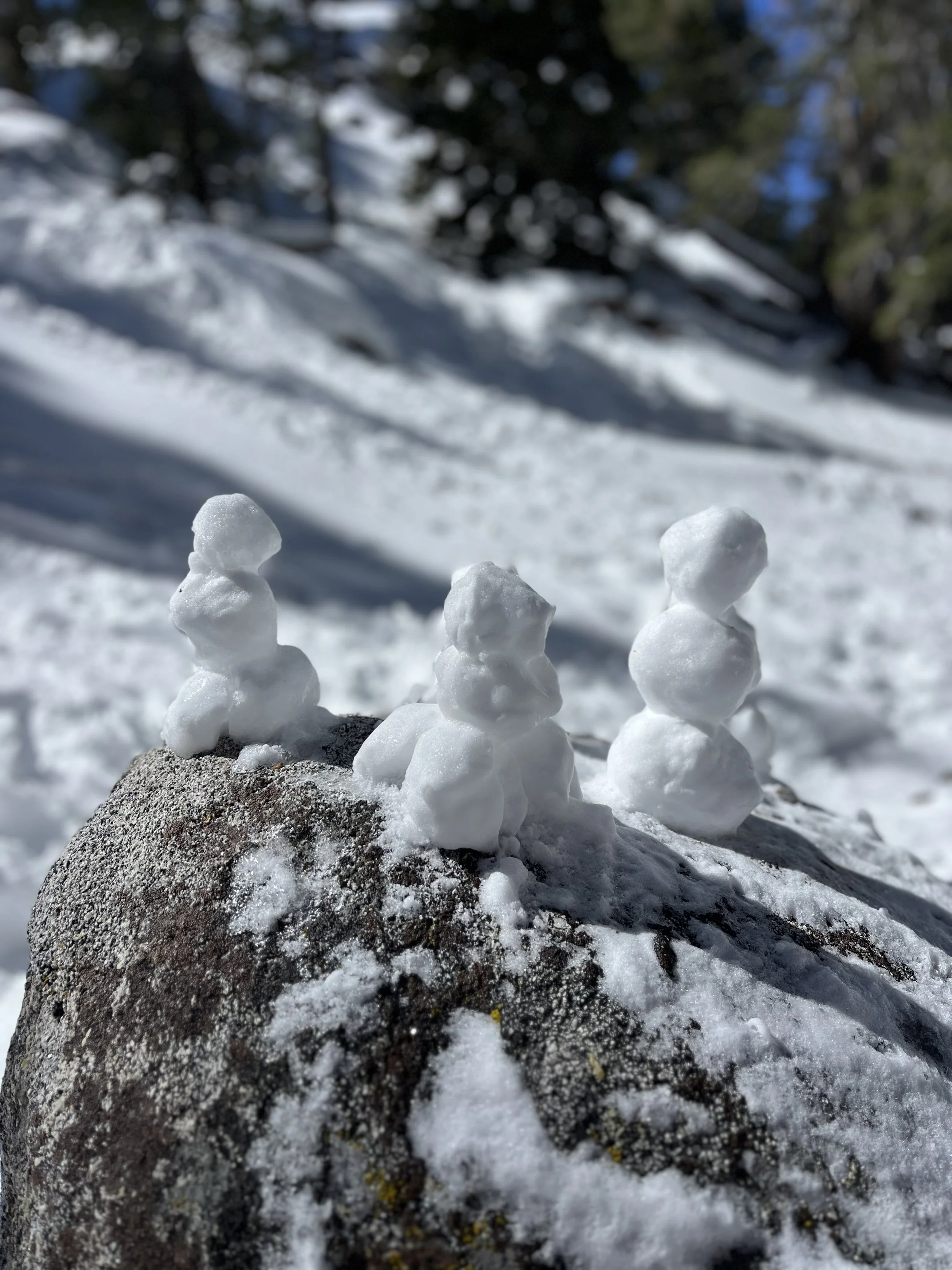 San Jacinto State Park Snow Stick Figures.jpg