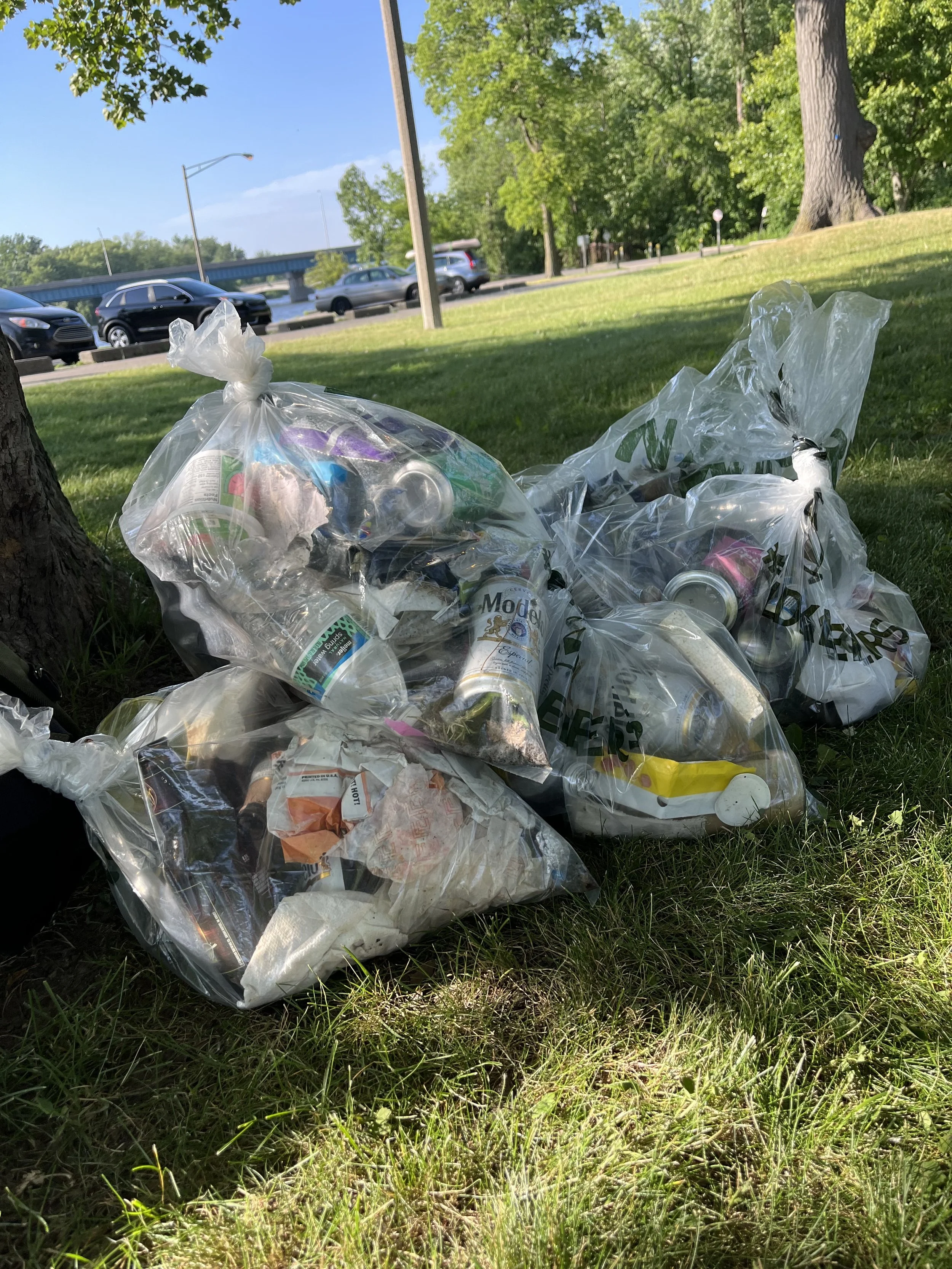 Summer Solstice Trash Cleanup in Michigan