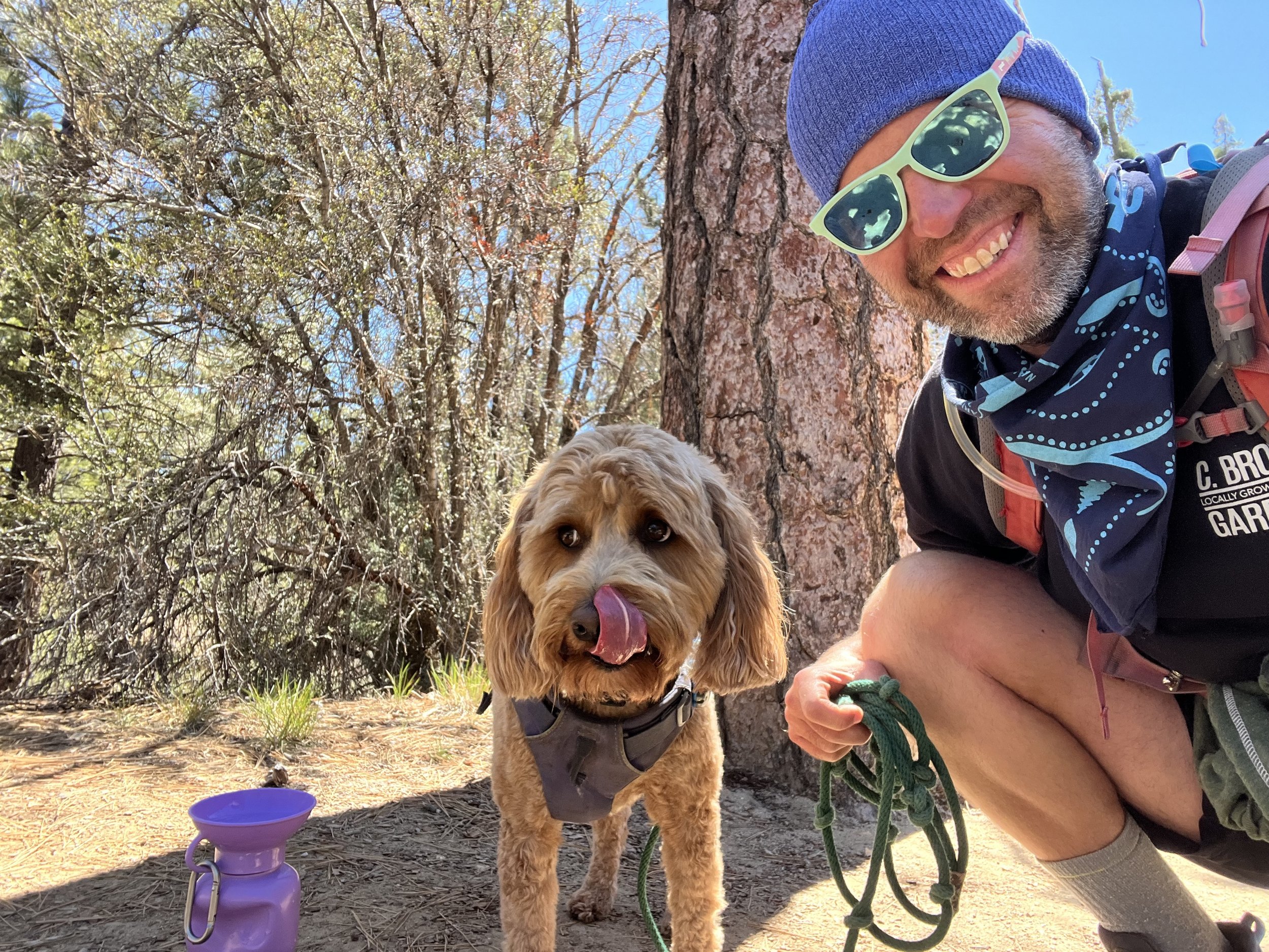 Hiking on the Pacific Crest Trail in Big Bear California