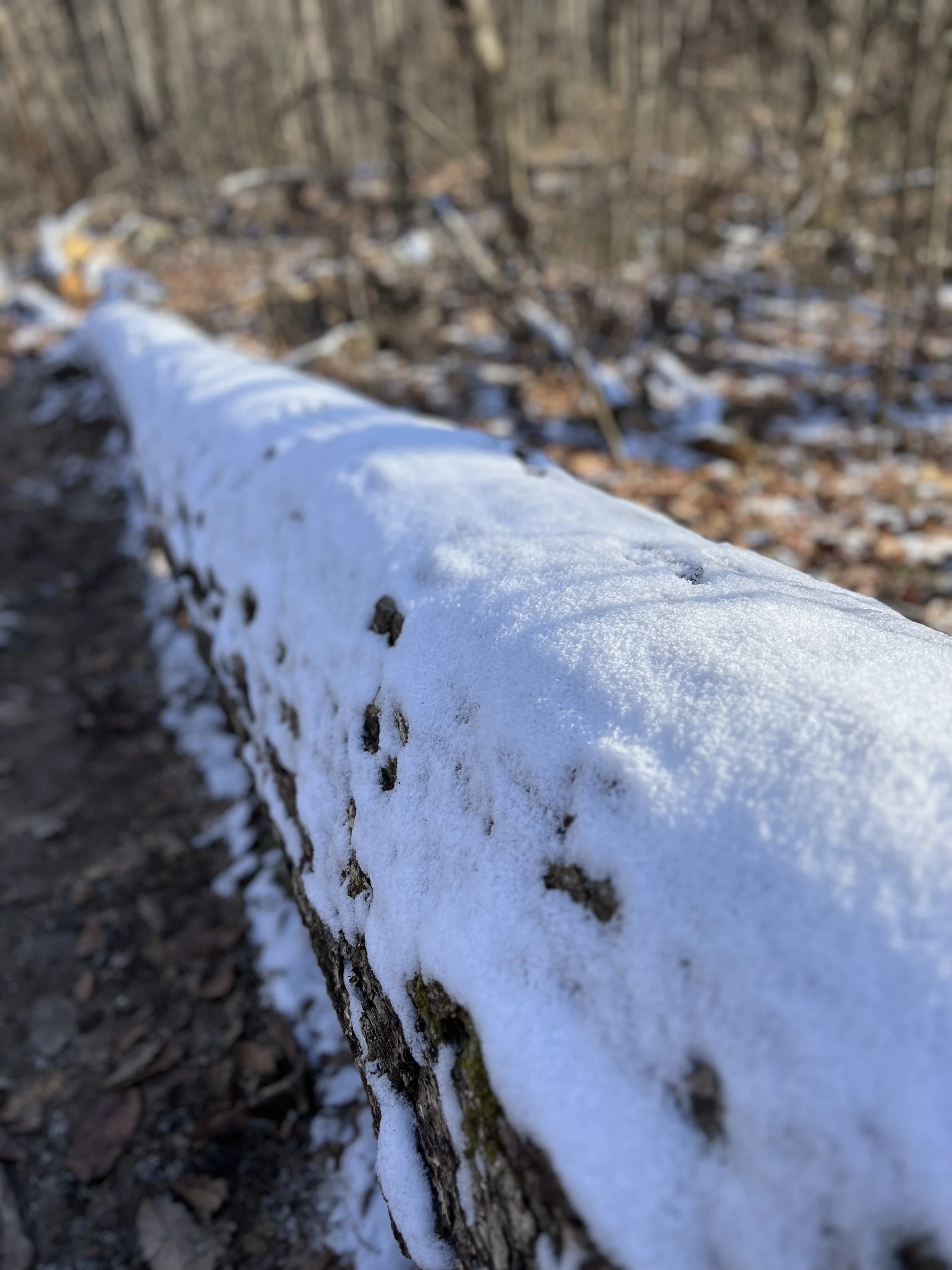 Hiking on the shortest day of the year: The Winter Solstice.