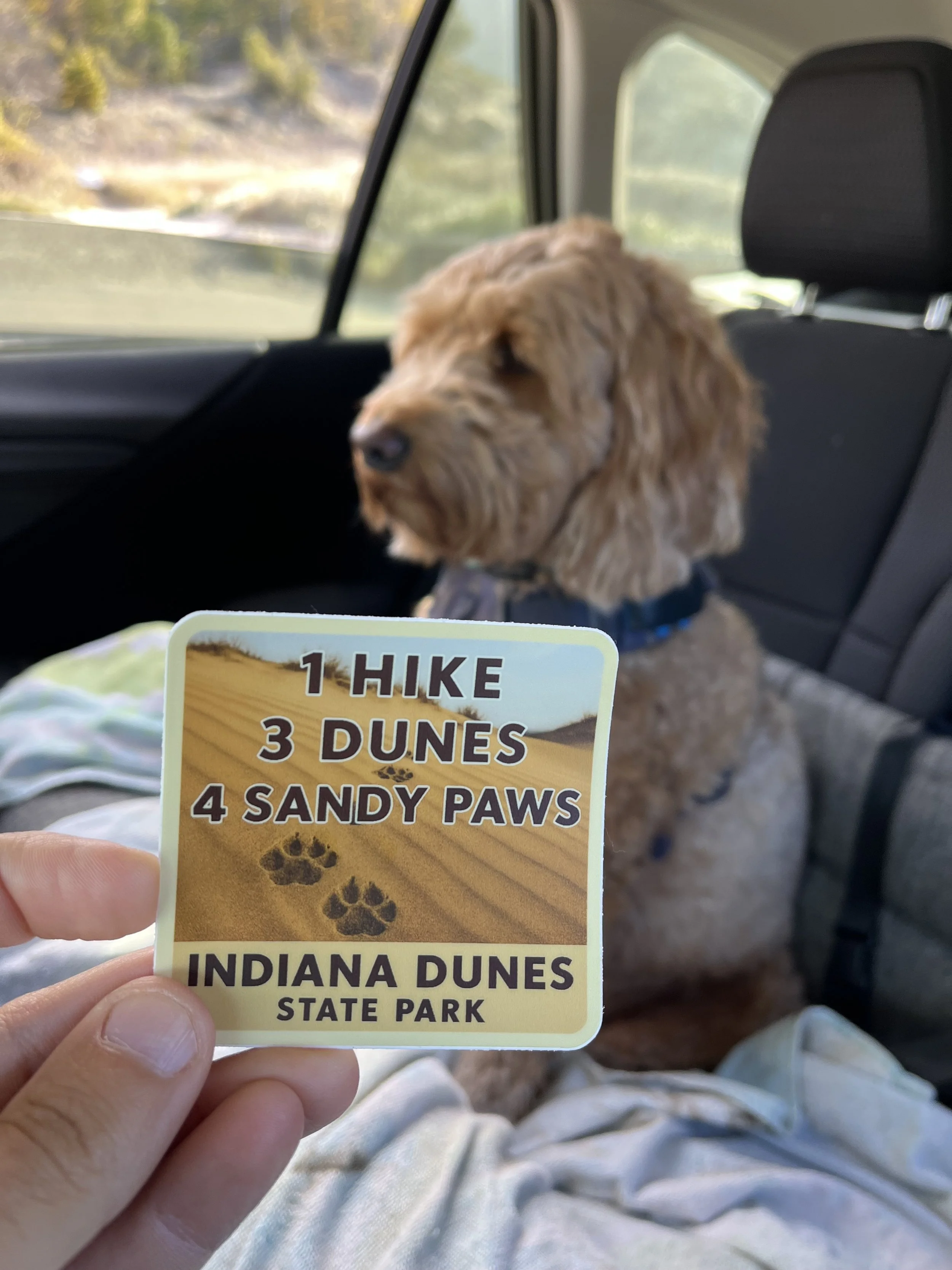 Cotopaxi is a two-time 3 Dune Challenge Finisher in Indiana Dunes State Park!