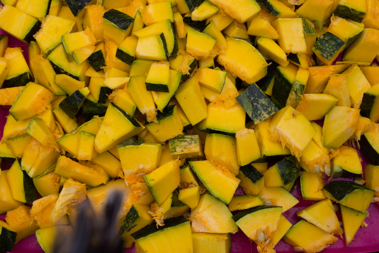 pumpkinfestival2015-188.jpg