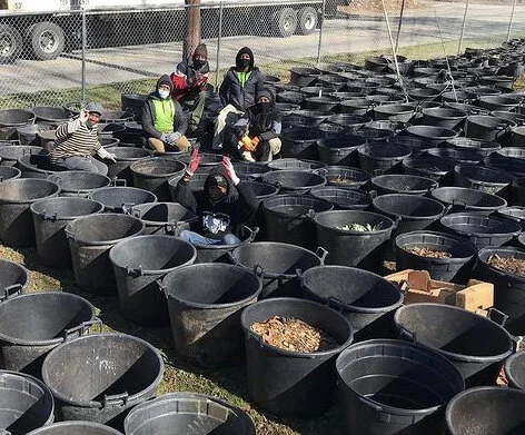Garden-Queen-pots.jpg