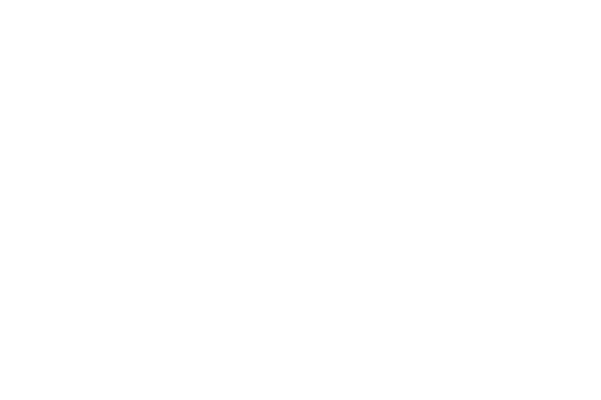 Artboard 1 copy 2.png