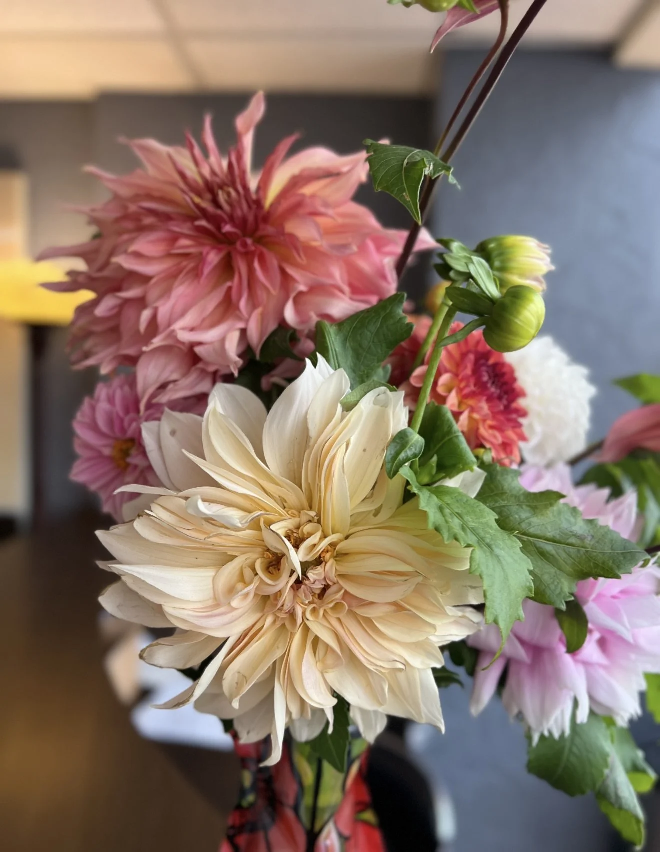 A bouquet of large, colorful dahlias in shades of pink, peach, and white with green leaves in a floral vase.