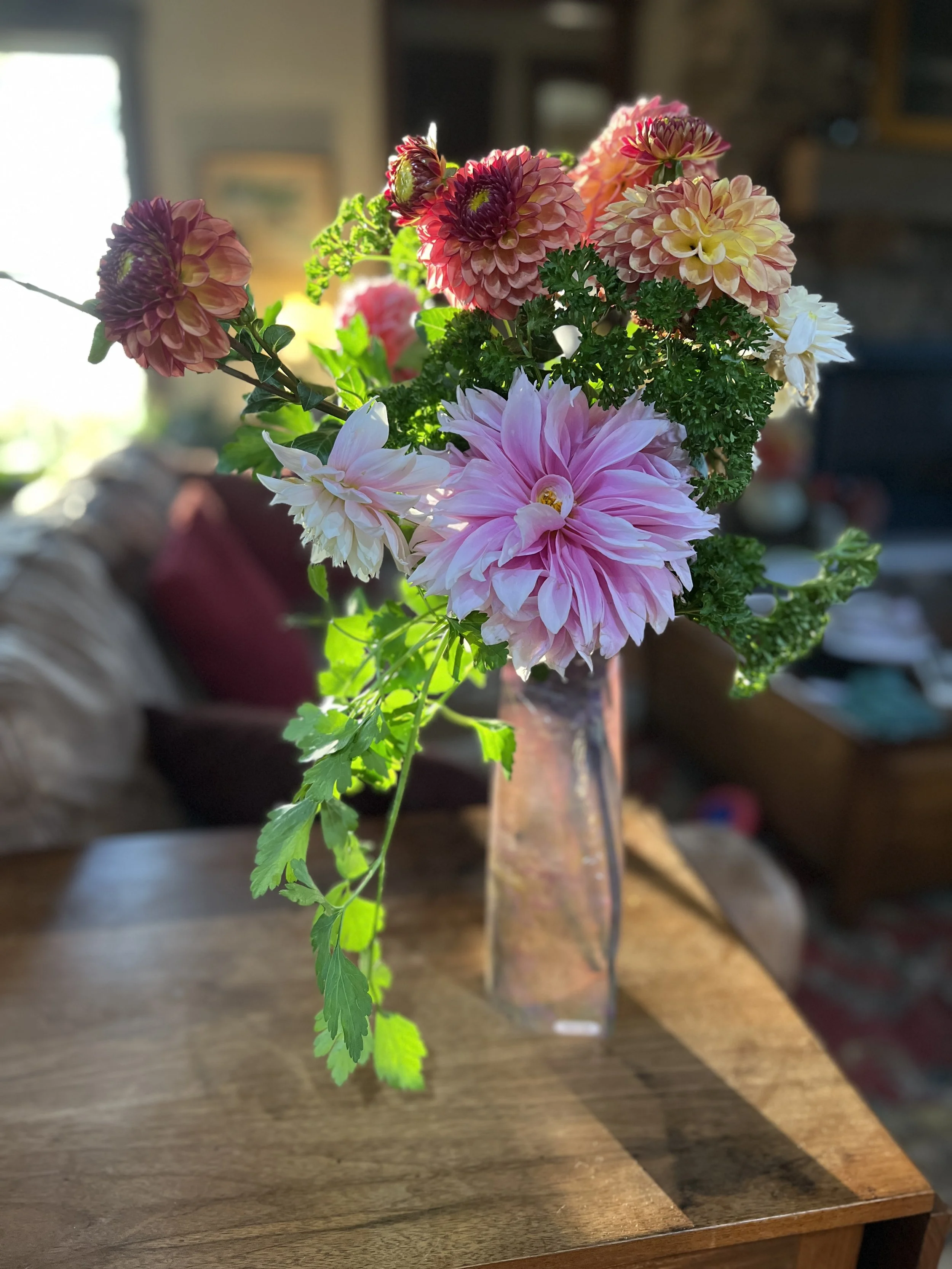 A colorful bouquet of pink, peach, and white dahlias with greenery, arranged in a clear glass vase on a wooden table, in a cozy living room with sunlight coming through the window.