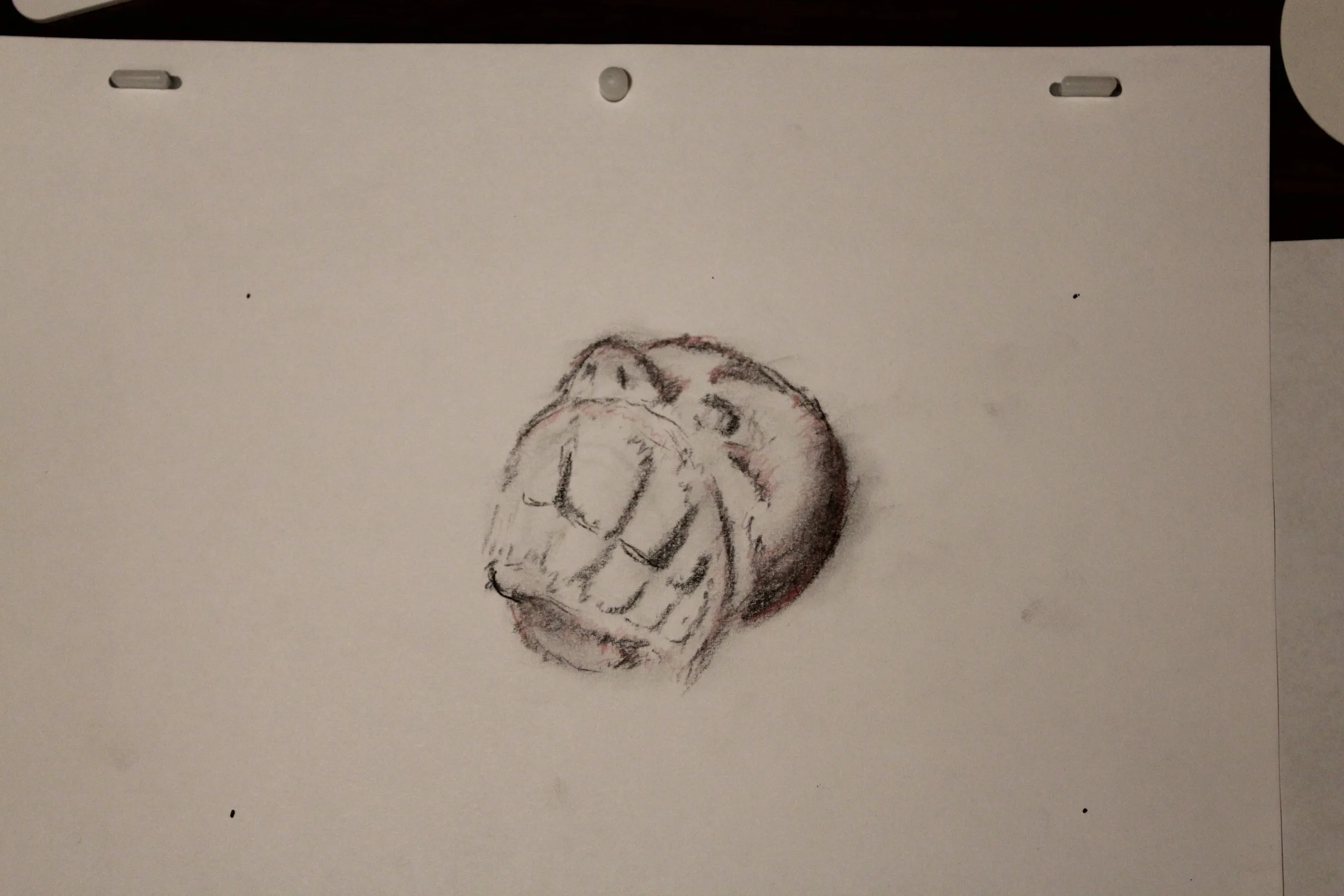 Face_001_02_X1_0008.jpg
