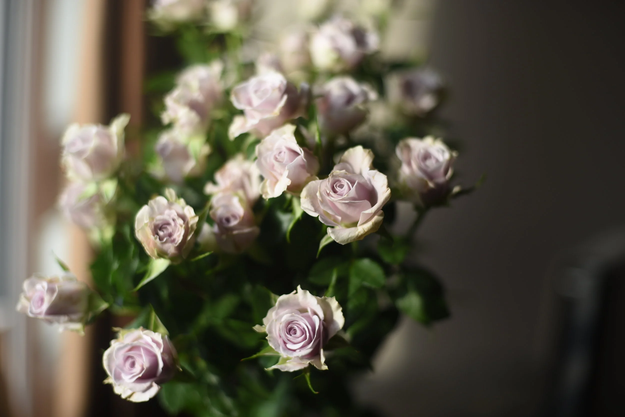 The Mothering Heart
