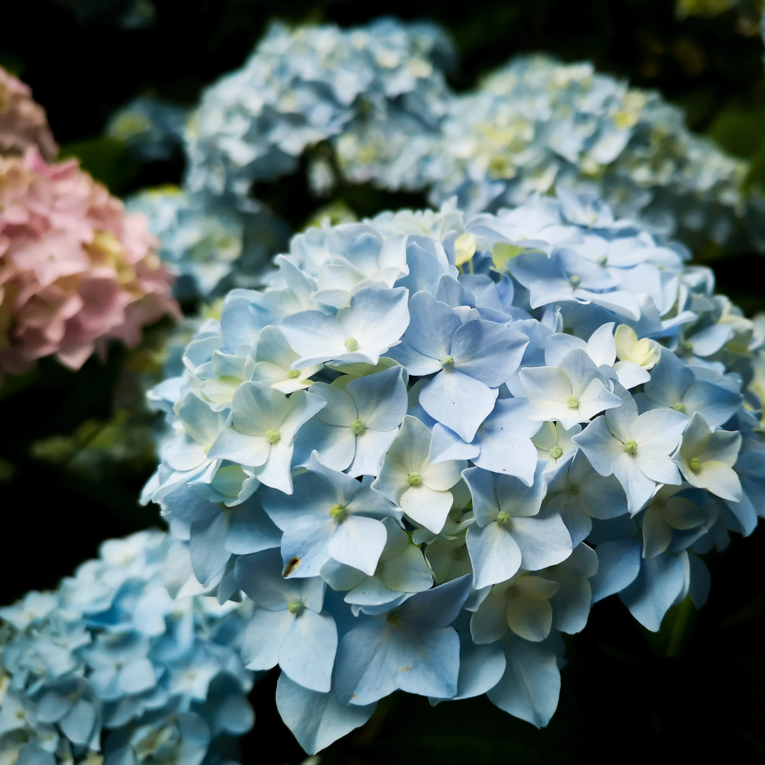 How &amp; Why: Hashtags