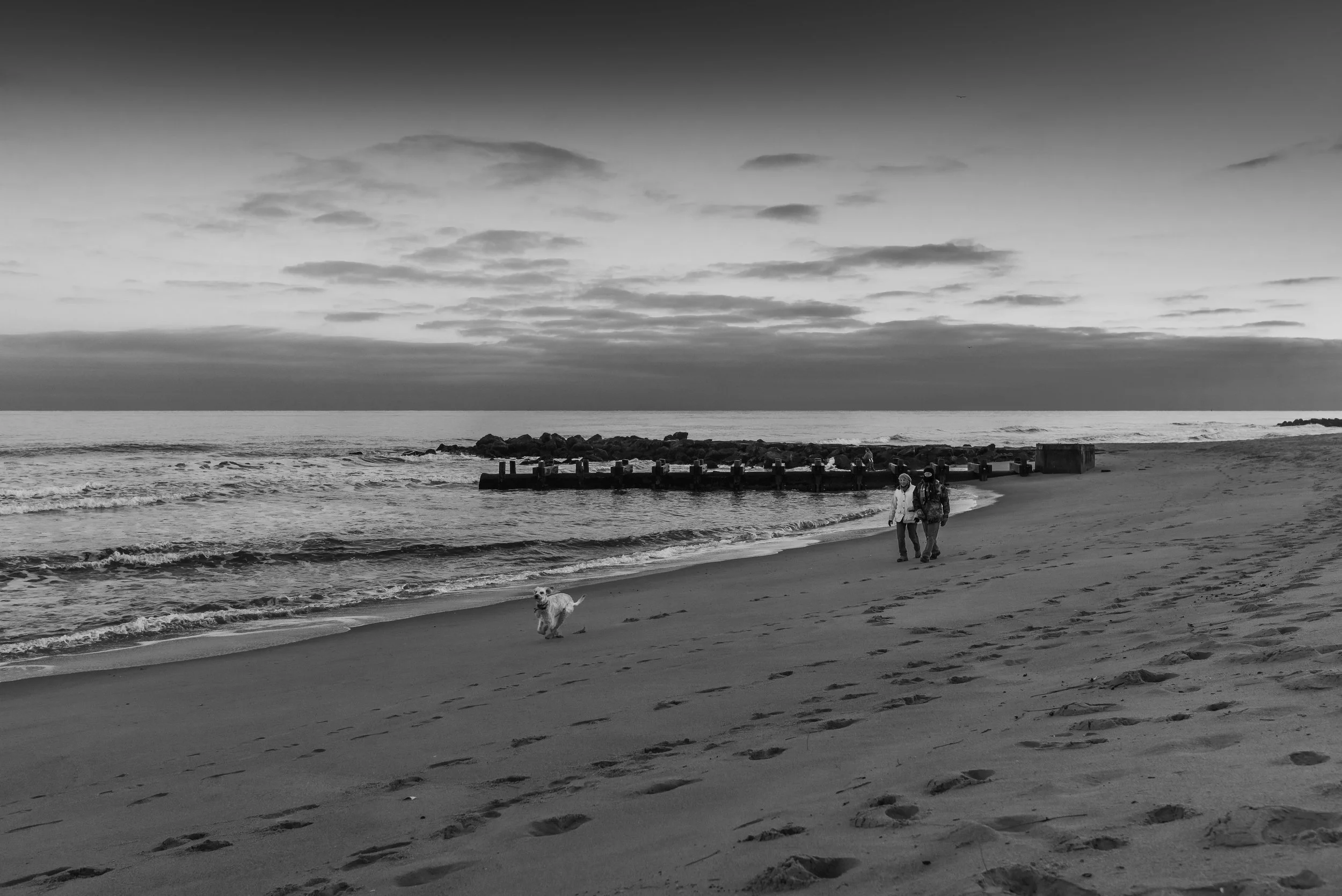 DSC_5201.jpg