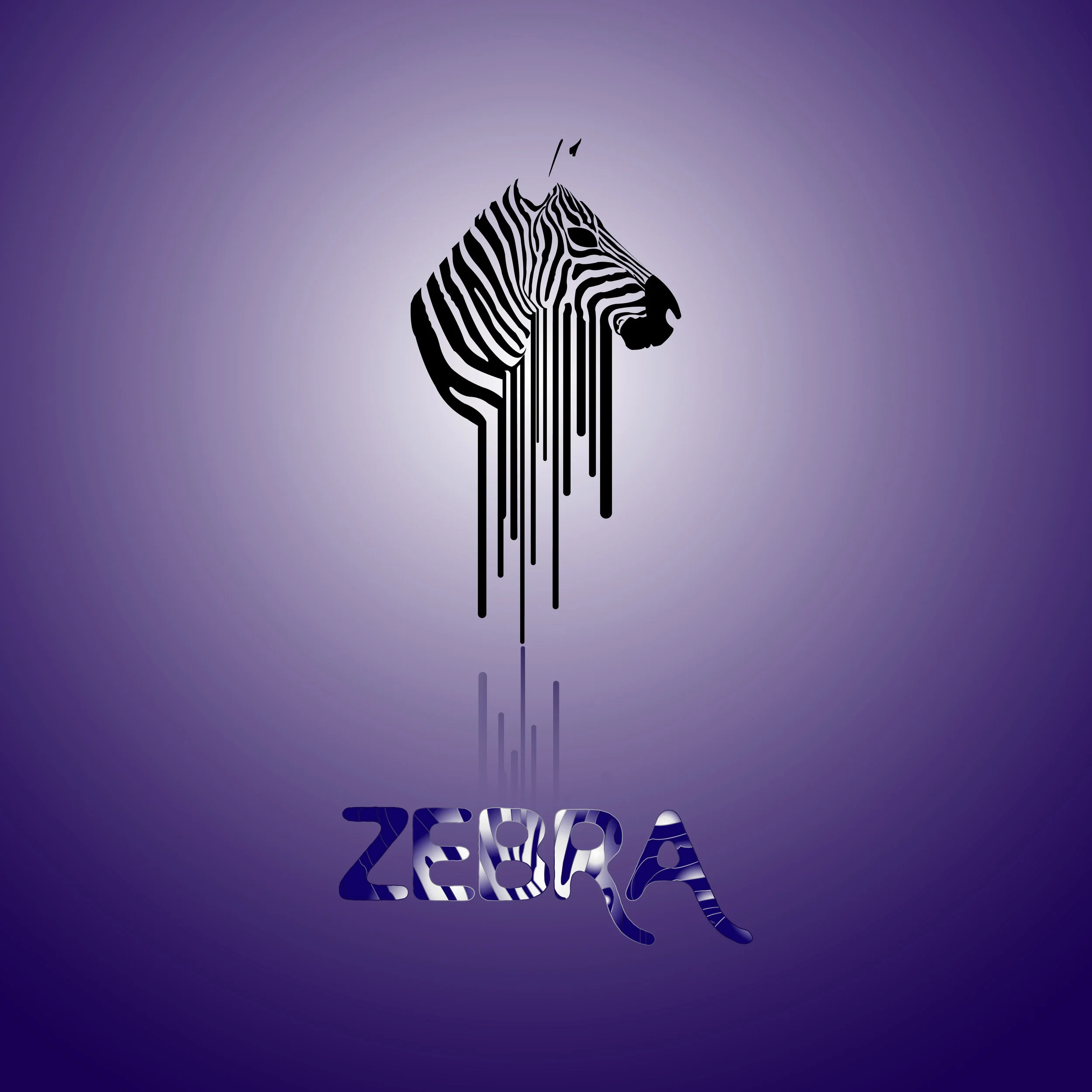 Zebra.jpg