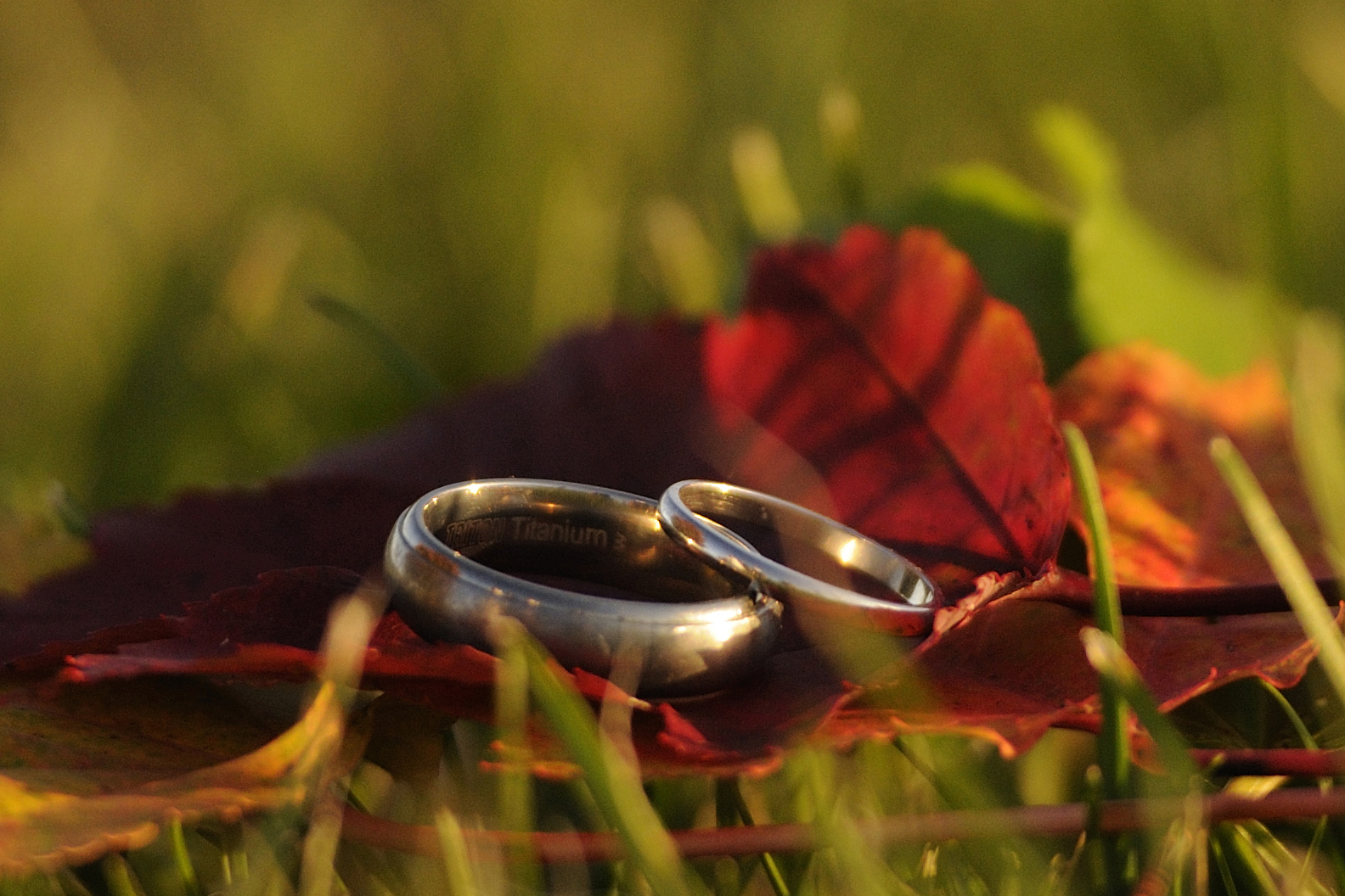  #wedding #weddings #weddingphotography #wedding photographer #couples #engagement #pattysimaging #pattylovins #lancasterkyphotographer #centralkyphotography 