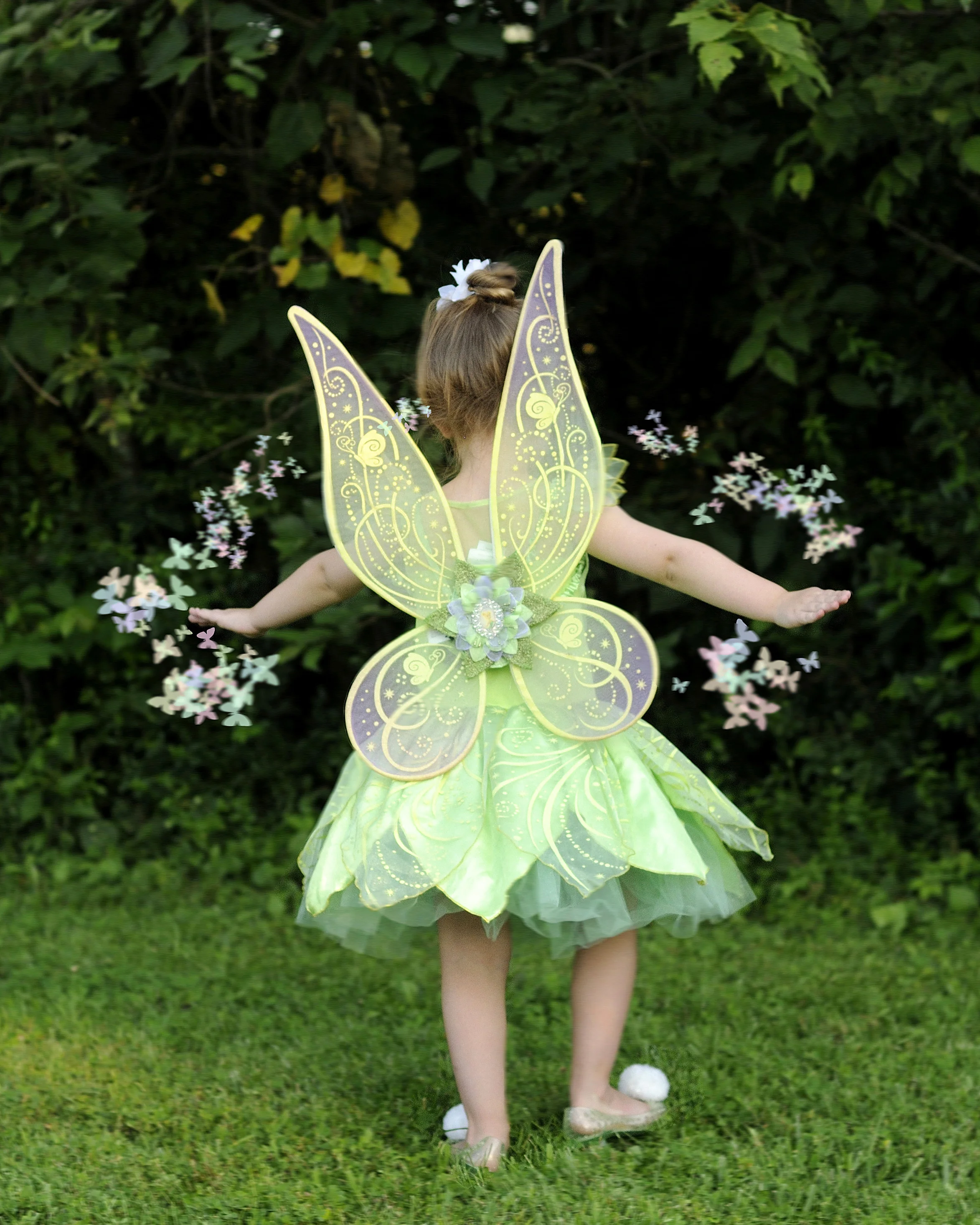 6_DSC2316_00001 - Copy copy.jpg