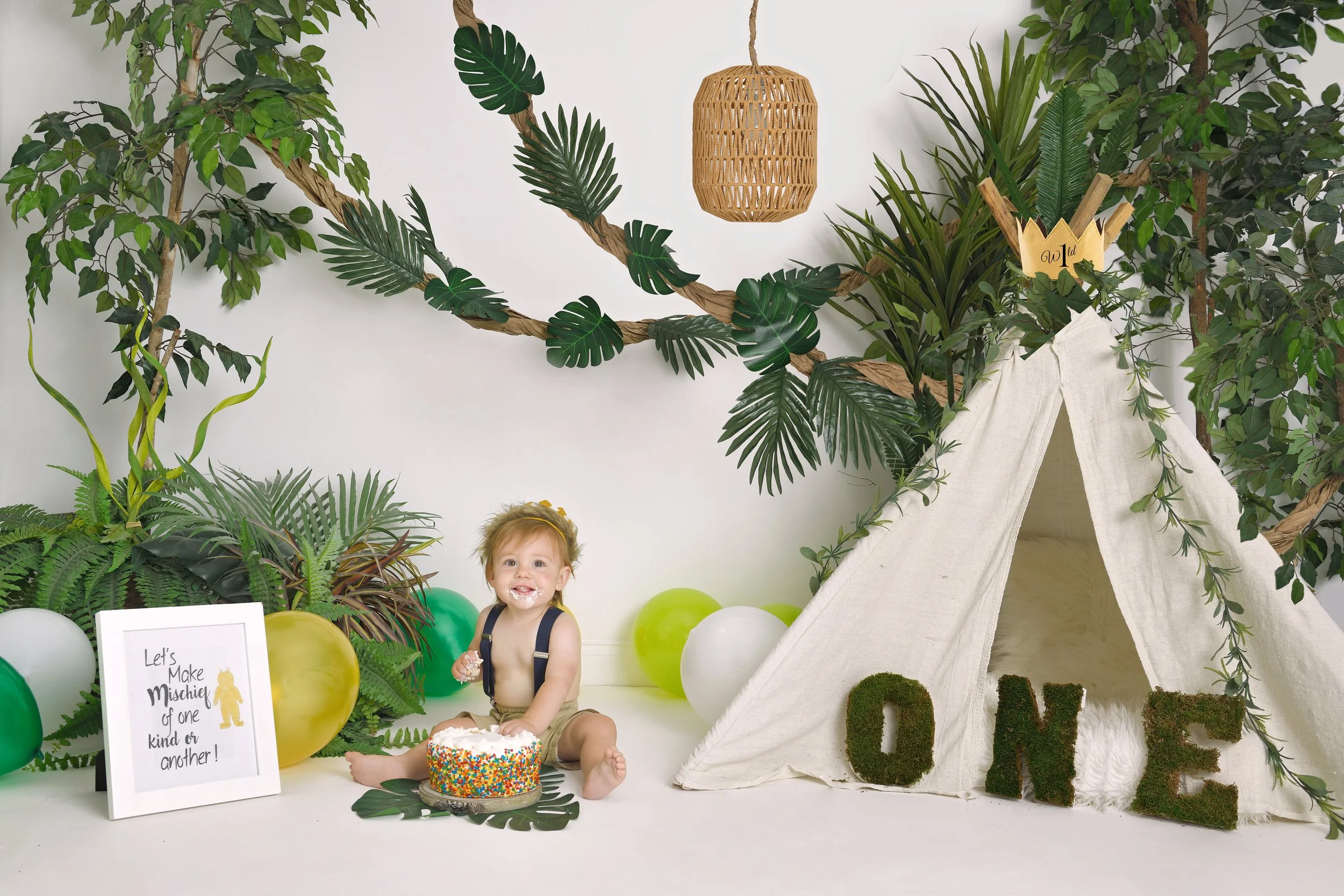  #pattysimaging #centralkyphotographer #lancasterkyphotographer #oneyr #oneyrphotoshoot #oneyrphotosession #pattylovins #smashcake 